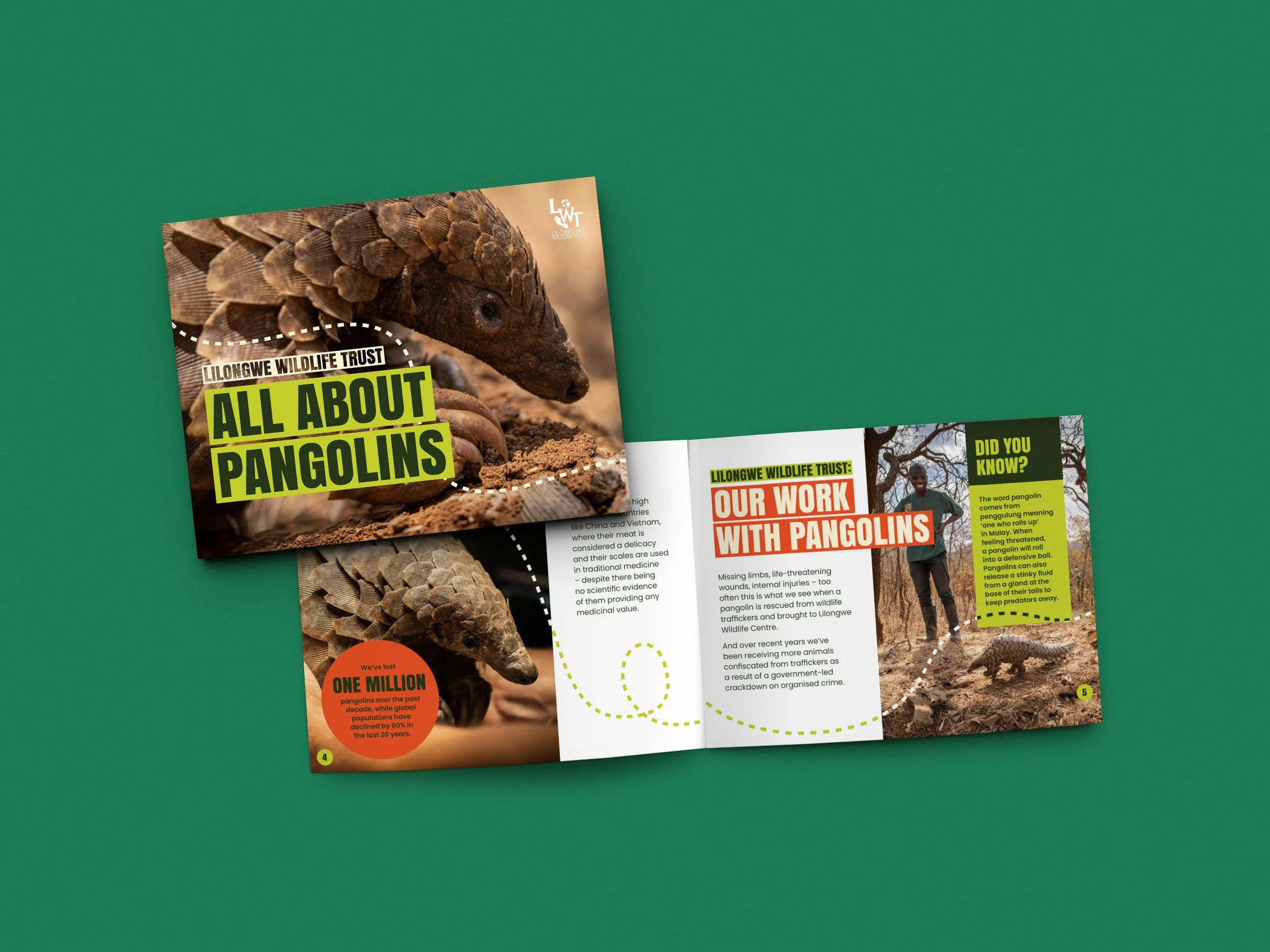 Booklet featuring a pangolin with the headline "All About Pangolins" from Lillongwe Wildlife Trust along with information about pangolins and their conservation.