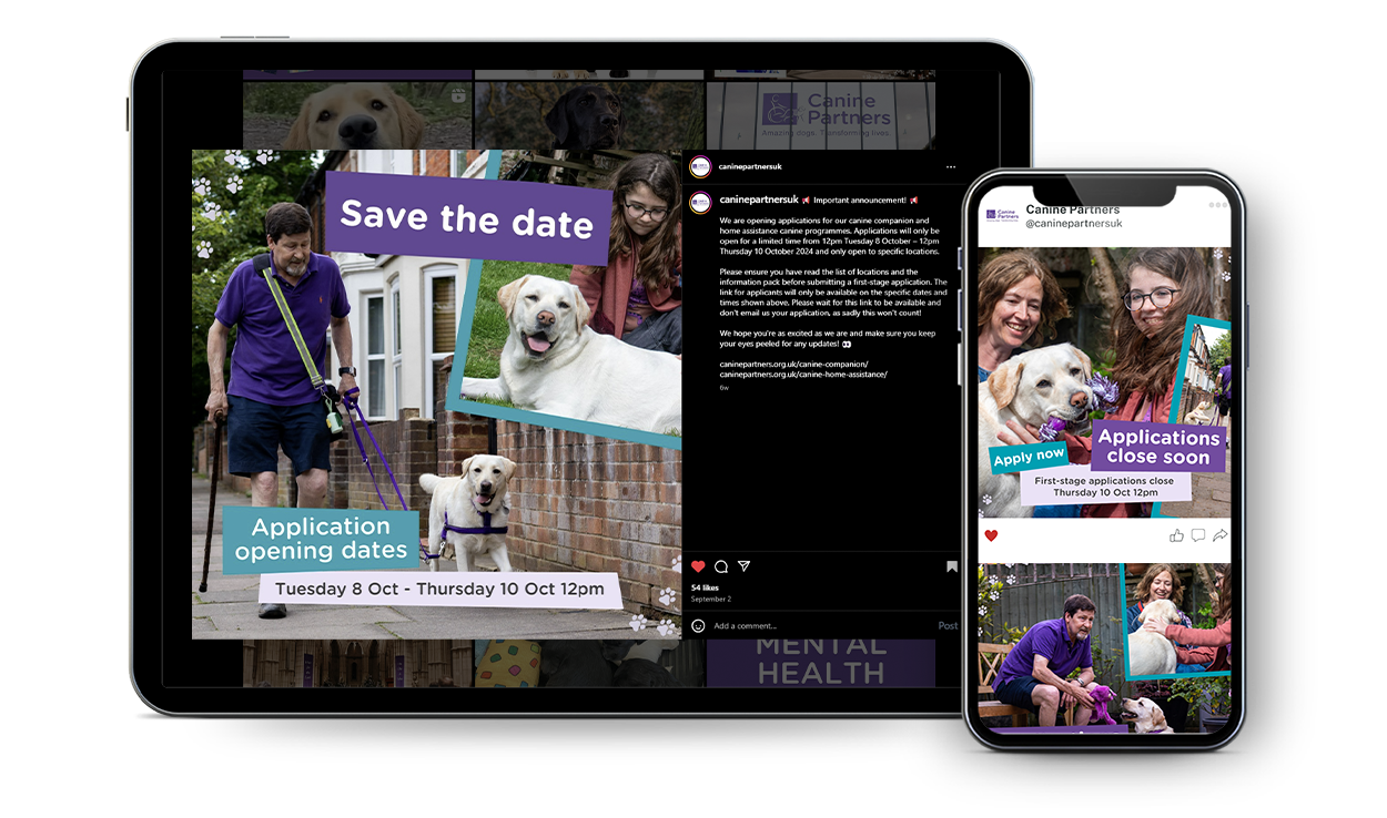 Screenshots of social media posts about assistance dog applications with photos of people and dogs, including a man with a dog on a leash, a girl with glasses and a dog, and a woman with a dog, with text about application dates and announcements.