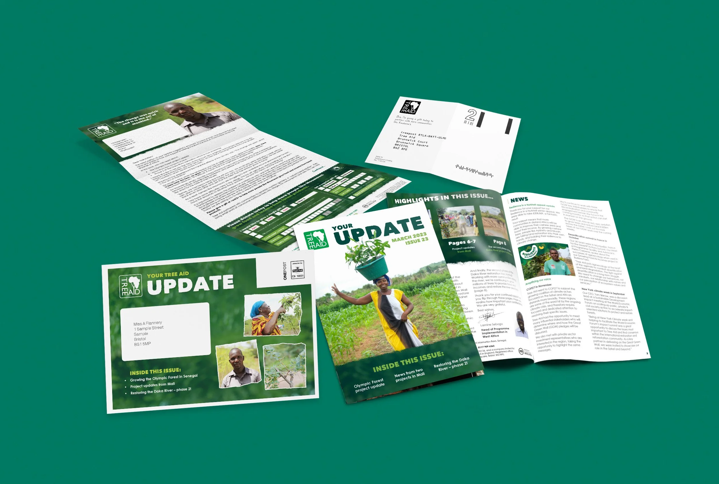 Tree Aid Update magazine ©Sprout Design.jpg