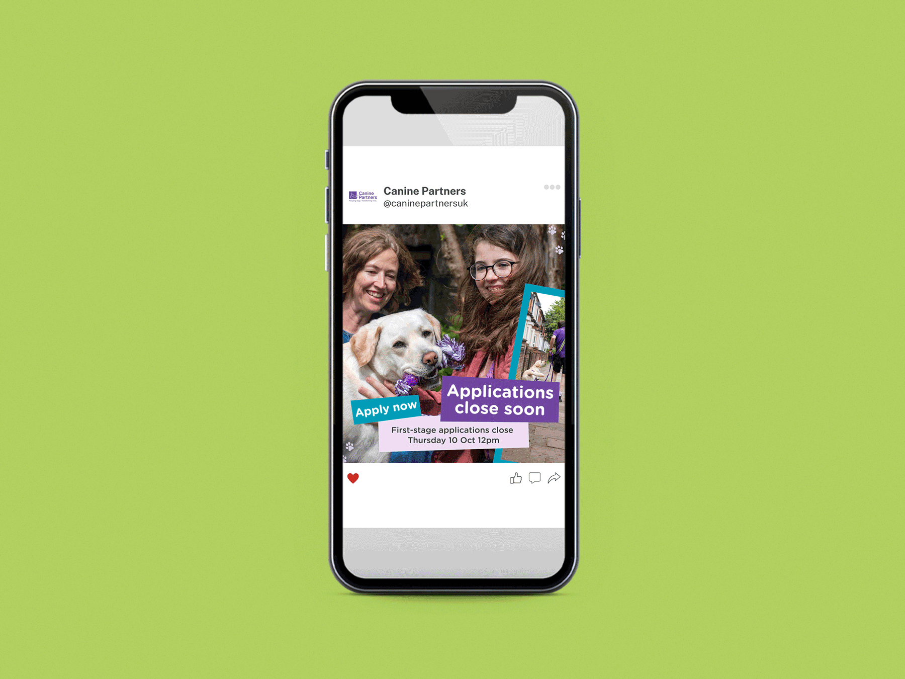 A smartphone displaying a social media posts from Canine Partners, featuring photos of dogs, with overlay text about applications for assistance dogs closing soon.