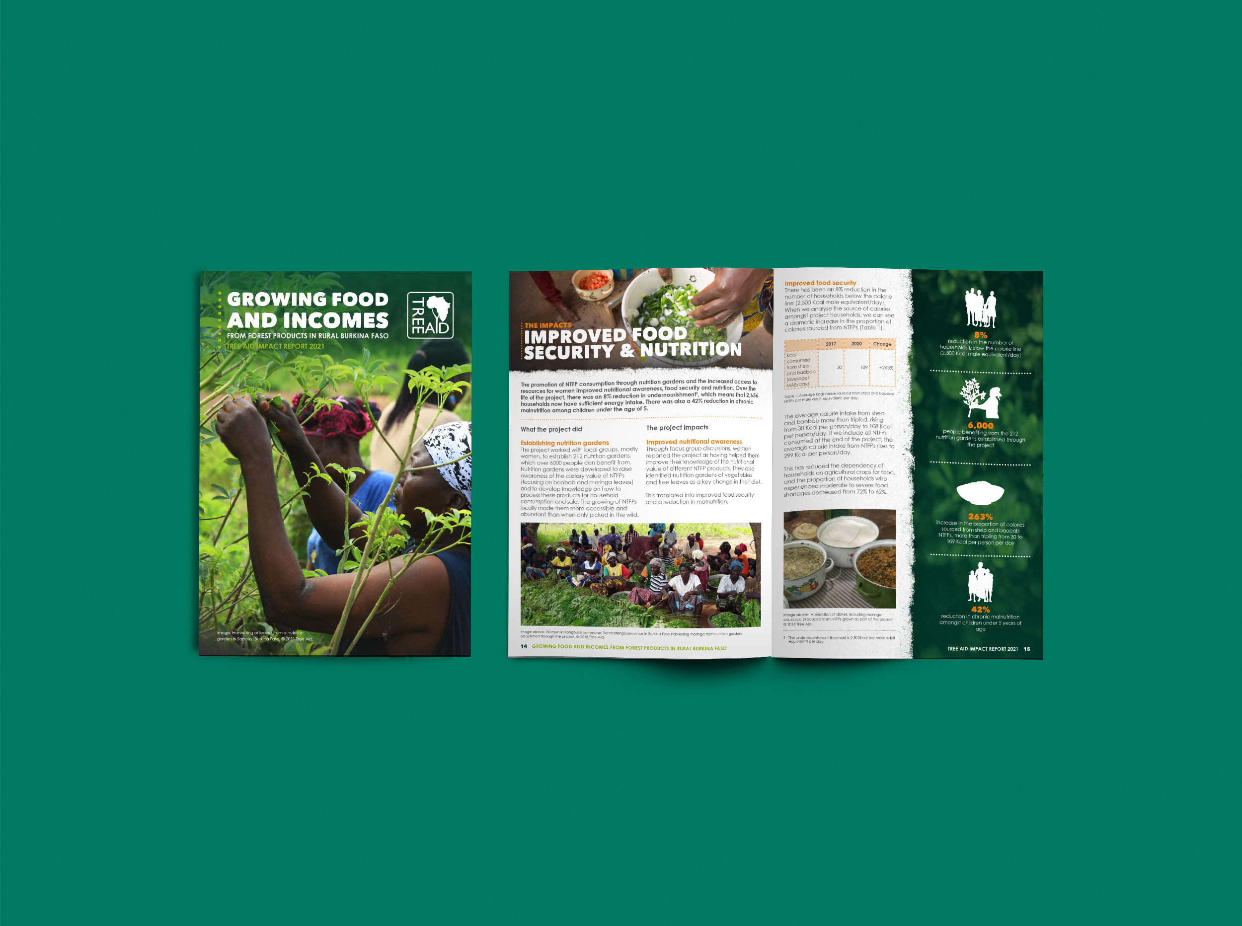 Tree Aid project report ©Sprout Design.png