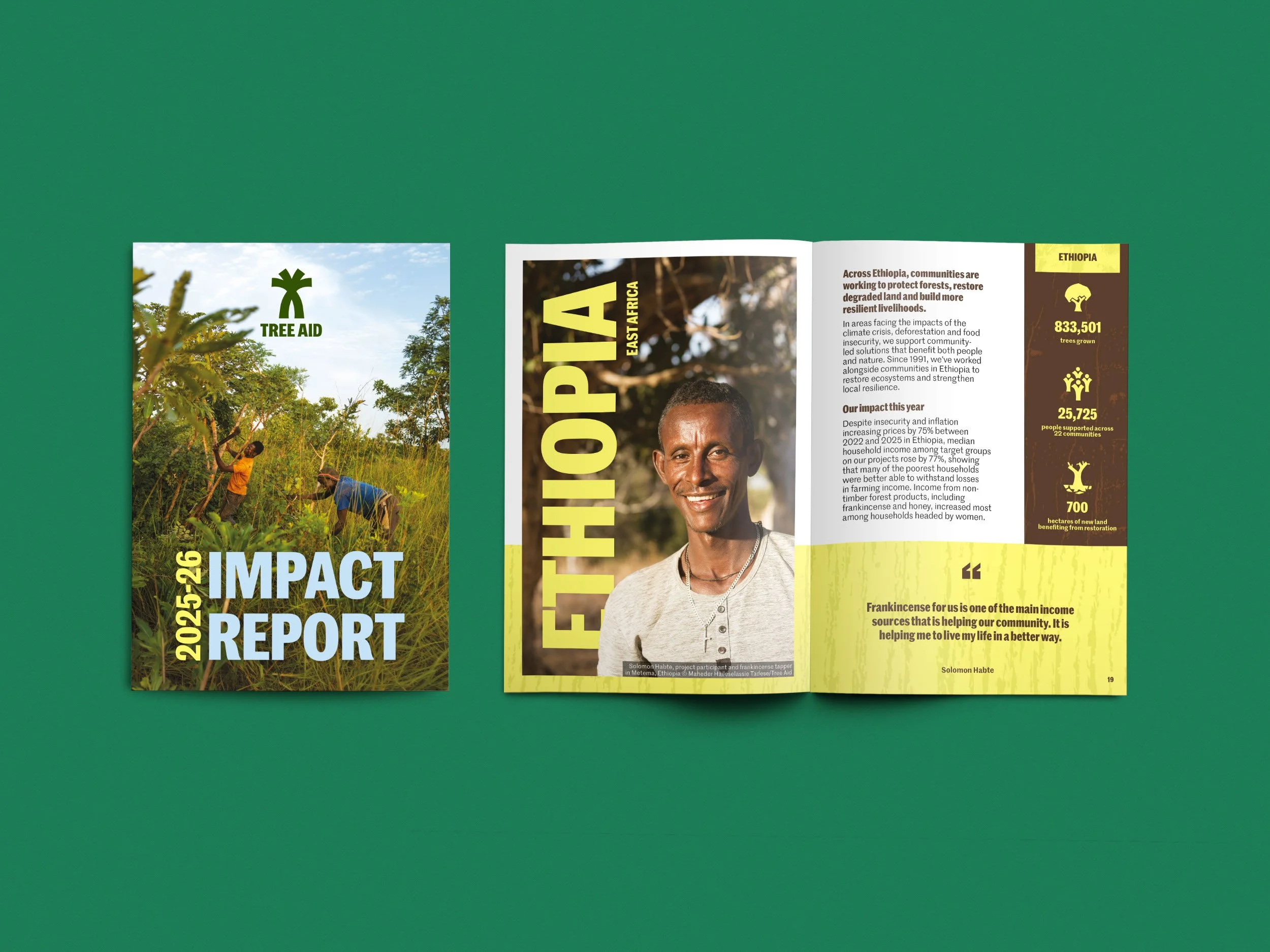 Front cover and open double page spread of Tree Aid's Annual Report.