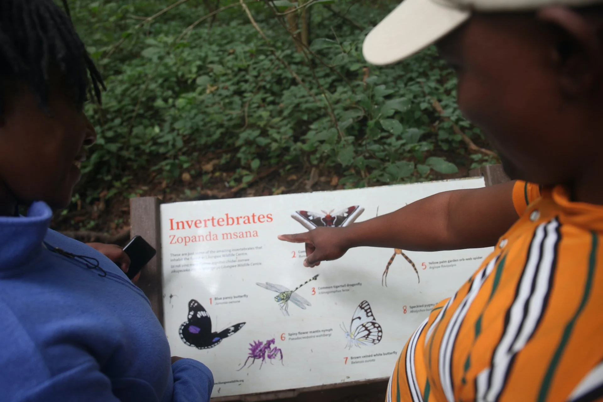 Two people are pointing at an informational signboard about invertebrates at Lilongwe Wildlife Centre.