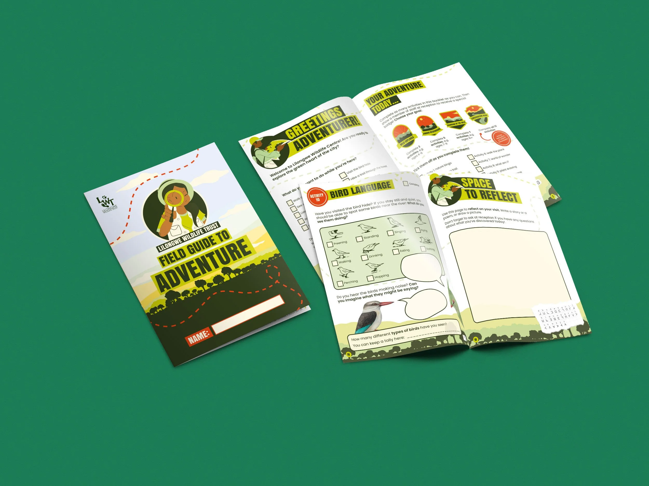 Open activity booklet for Lilongwe Wildlife Centre titled 'Field Guide to Nature Adventure' with illustrations of birds, plants, and activities, placed on a green background.