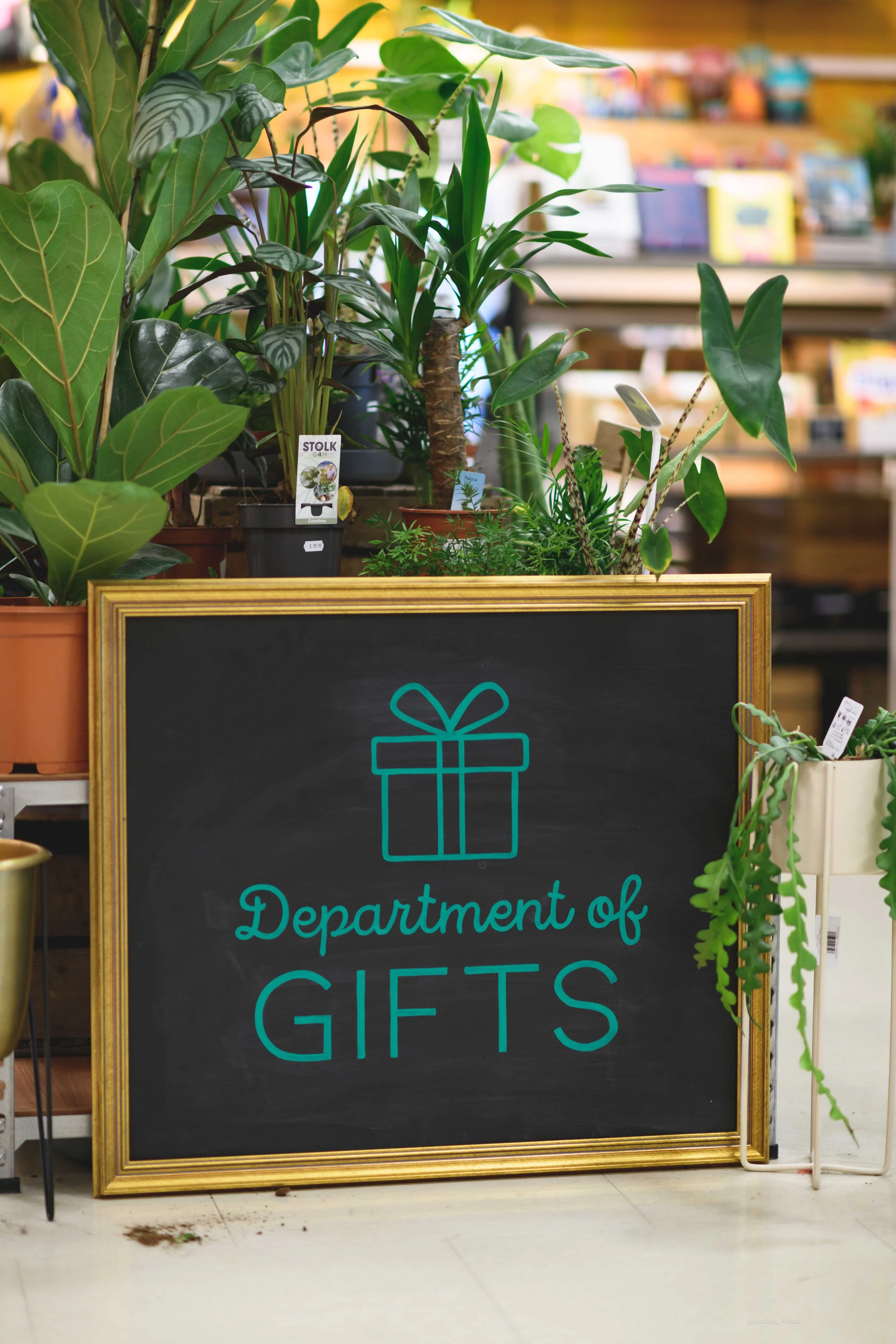 Sparks Gift Department sign. Photo Jon Craig..jpg