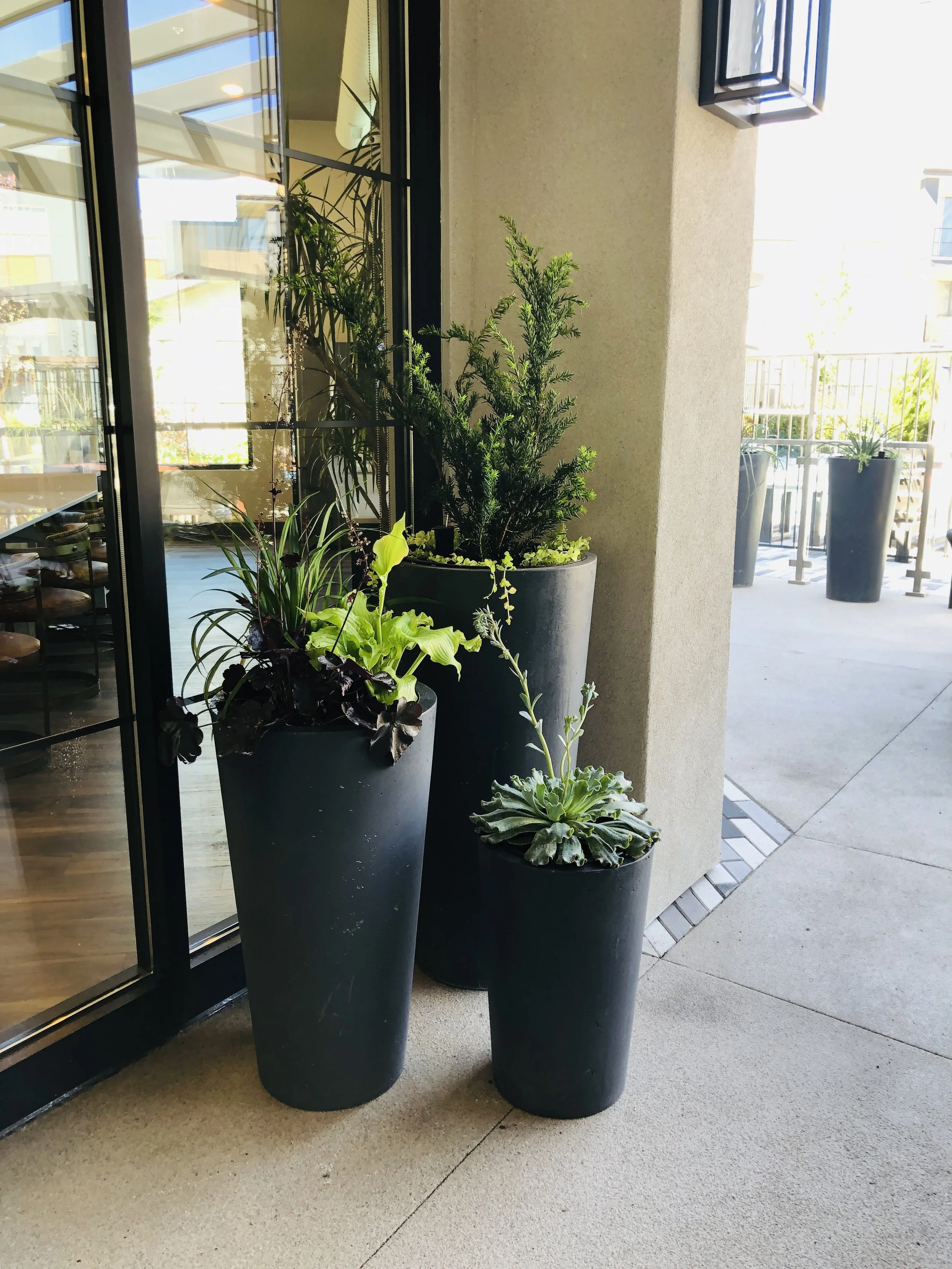 AzureLuxury Apartment Living — CappucciDesign