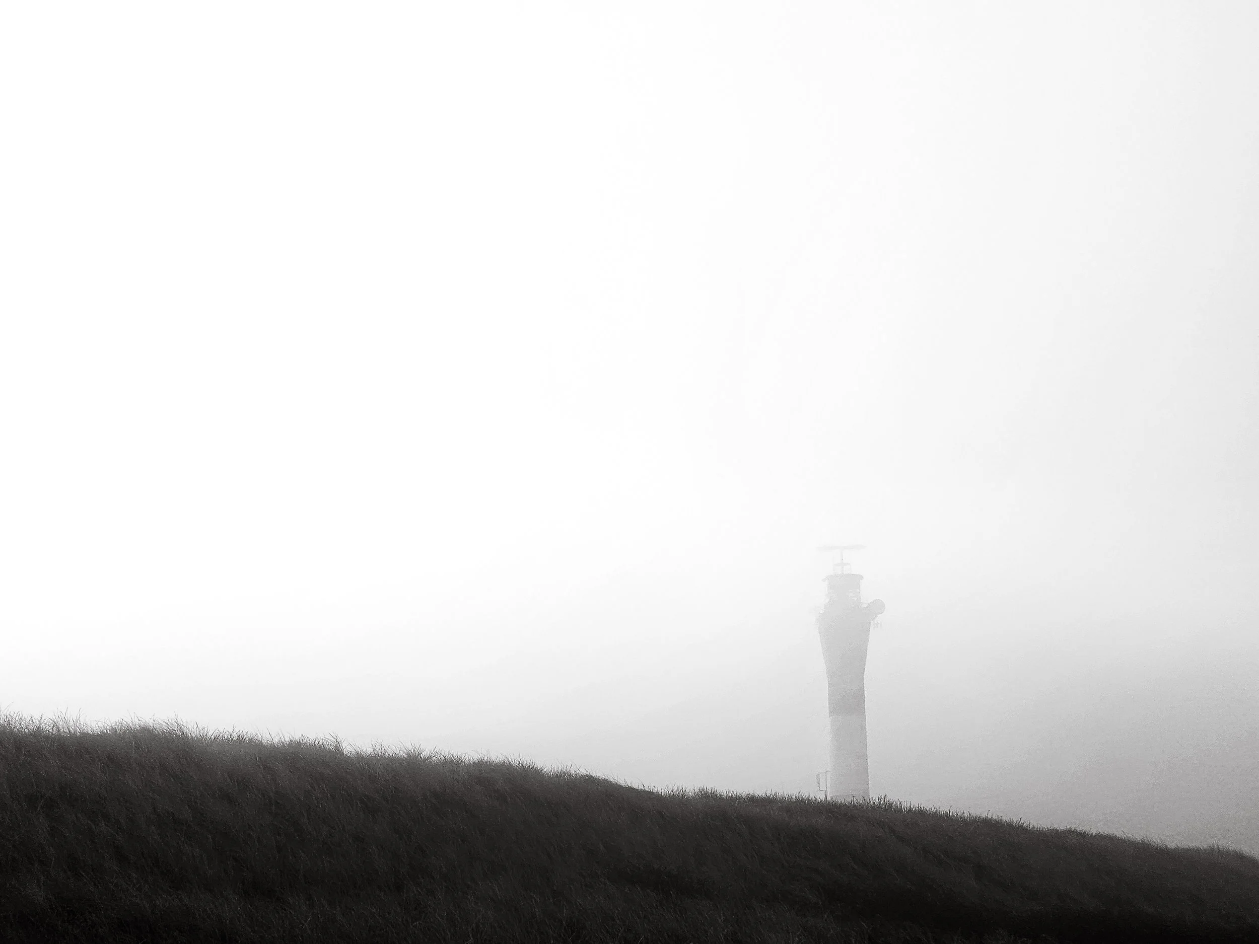 20250202_114429.jpg