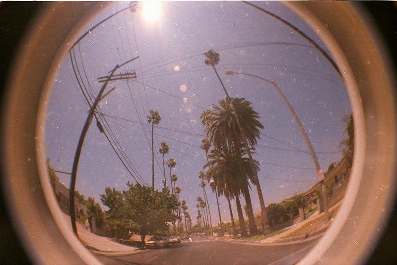 crazy fisheye.jpg