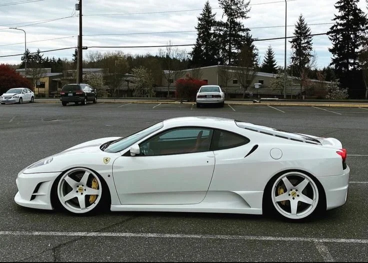 White rarri.jpeg