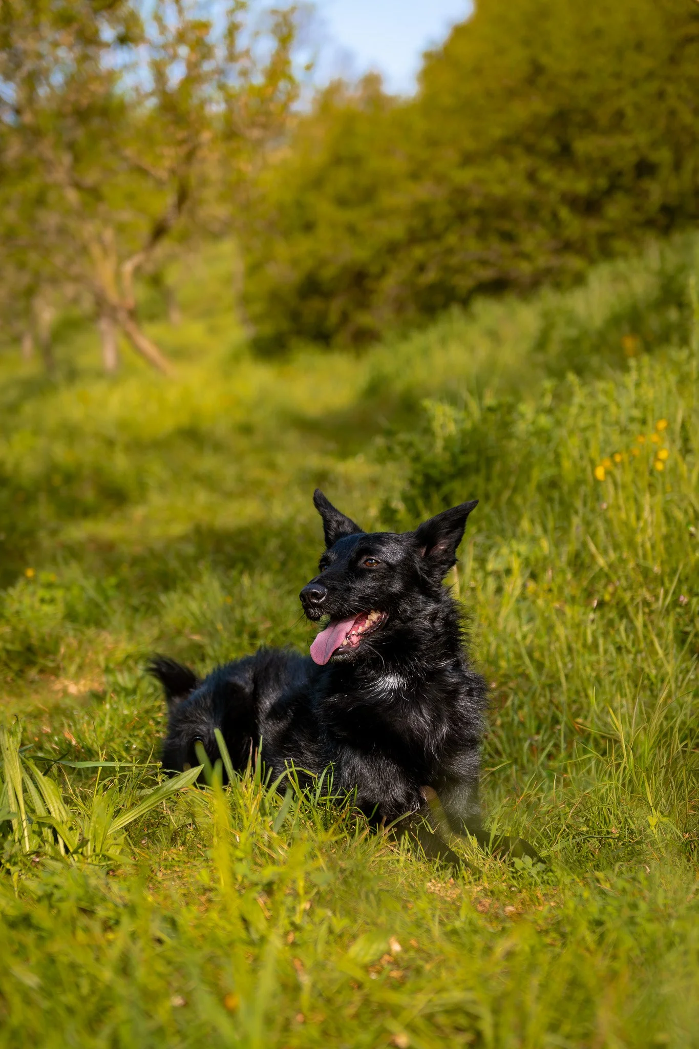 DSC_5447.jpg