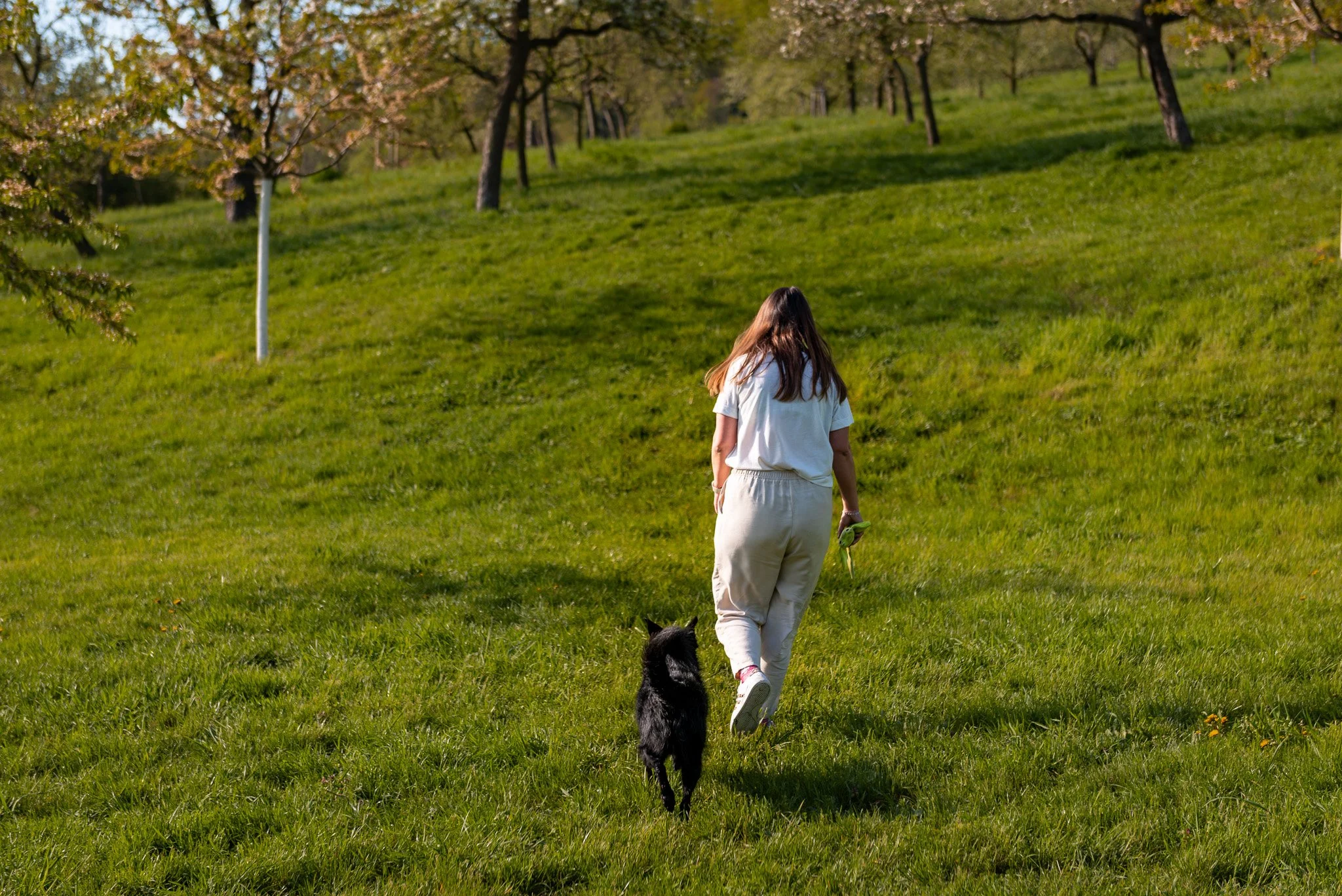 DSC_5612.jpg