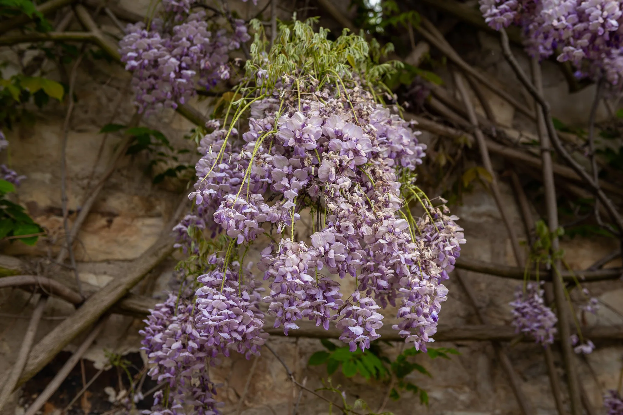 DSC_8148.jpg