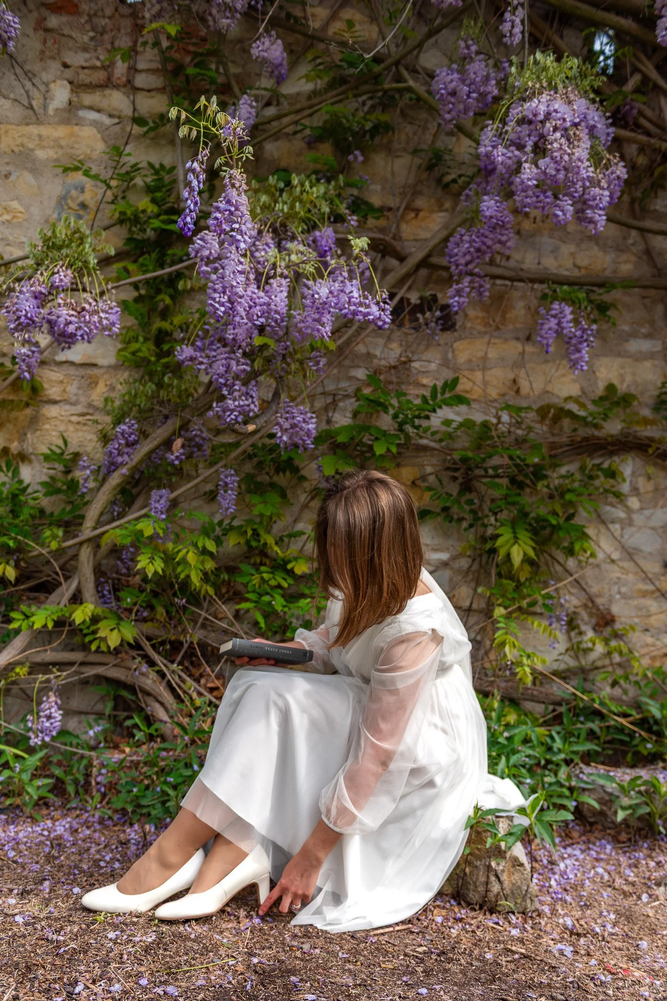 DSC_8241-2.jpg