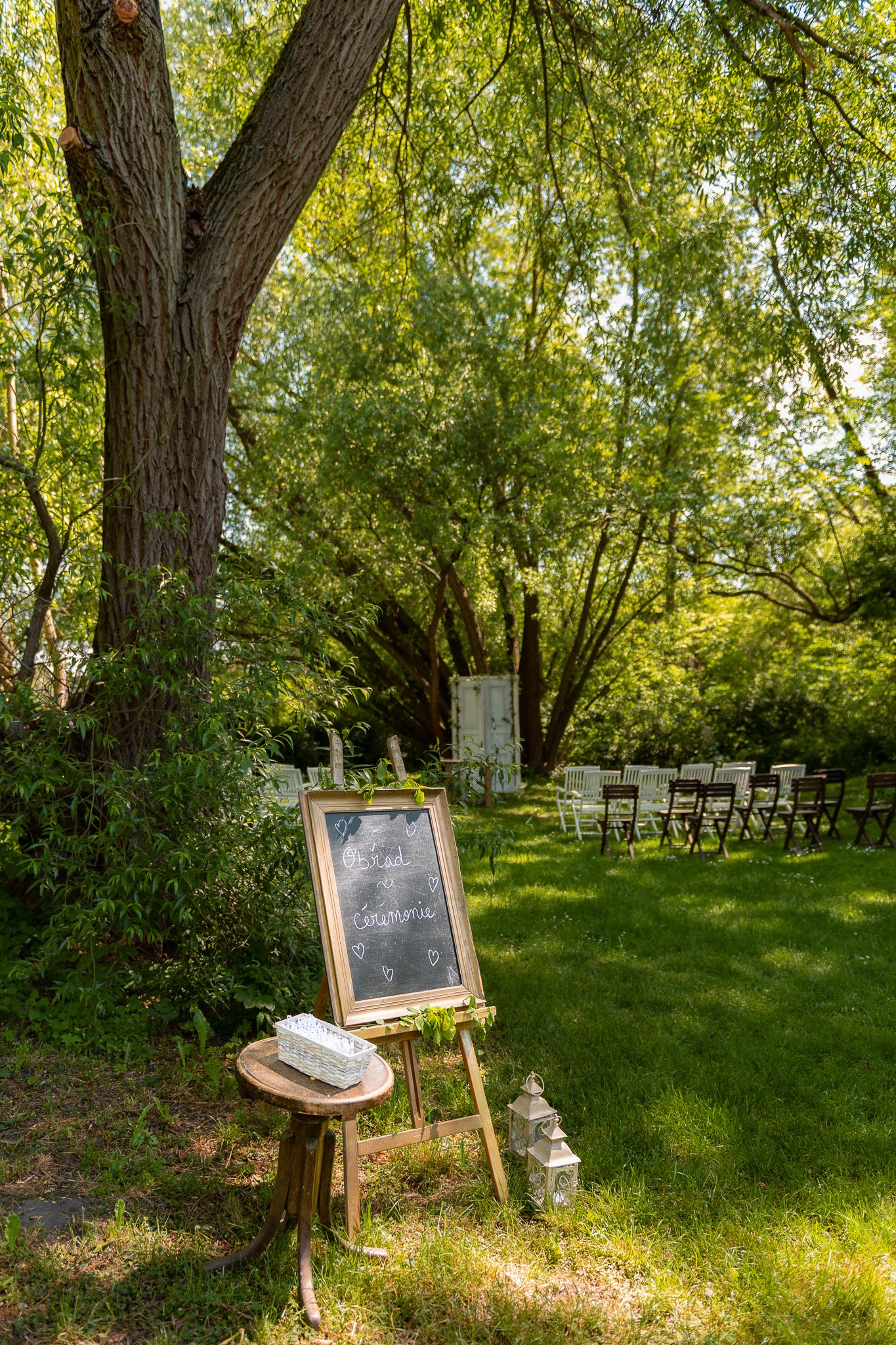 DSC_8732.jpg