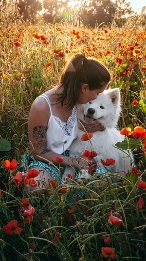 A woman with dark hair and tattoos on her arm sitting in a field of red poppies, hugging a fluffy white dog. The scene is illuminated by warm sunlight, creating a peaceful, cheerful atmosphere.