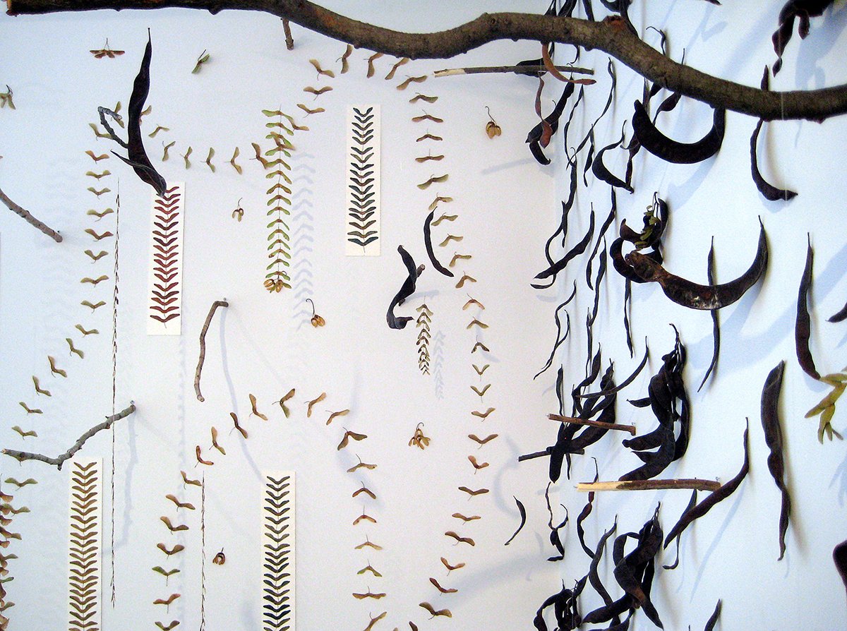 Natural Objects Installation View 4