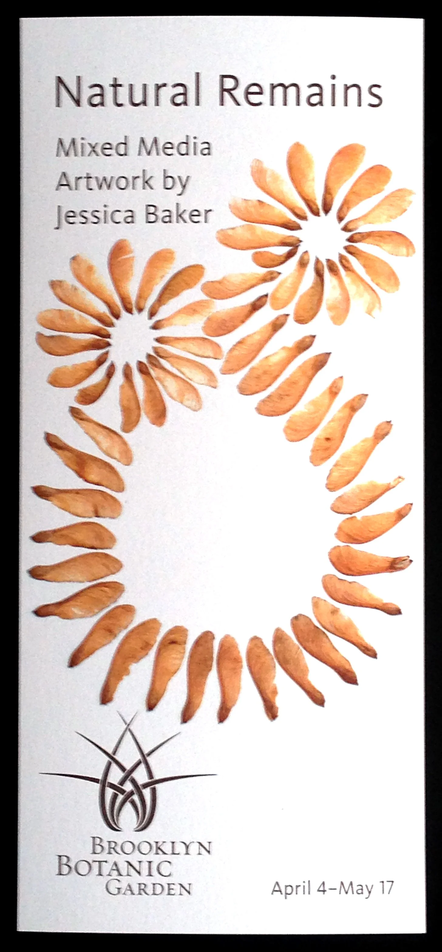 Natural Remains - Rack Card