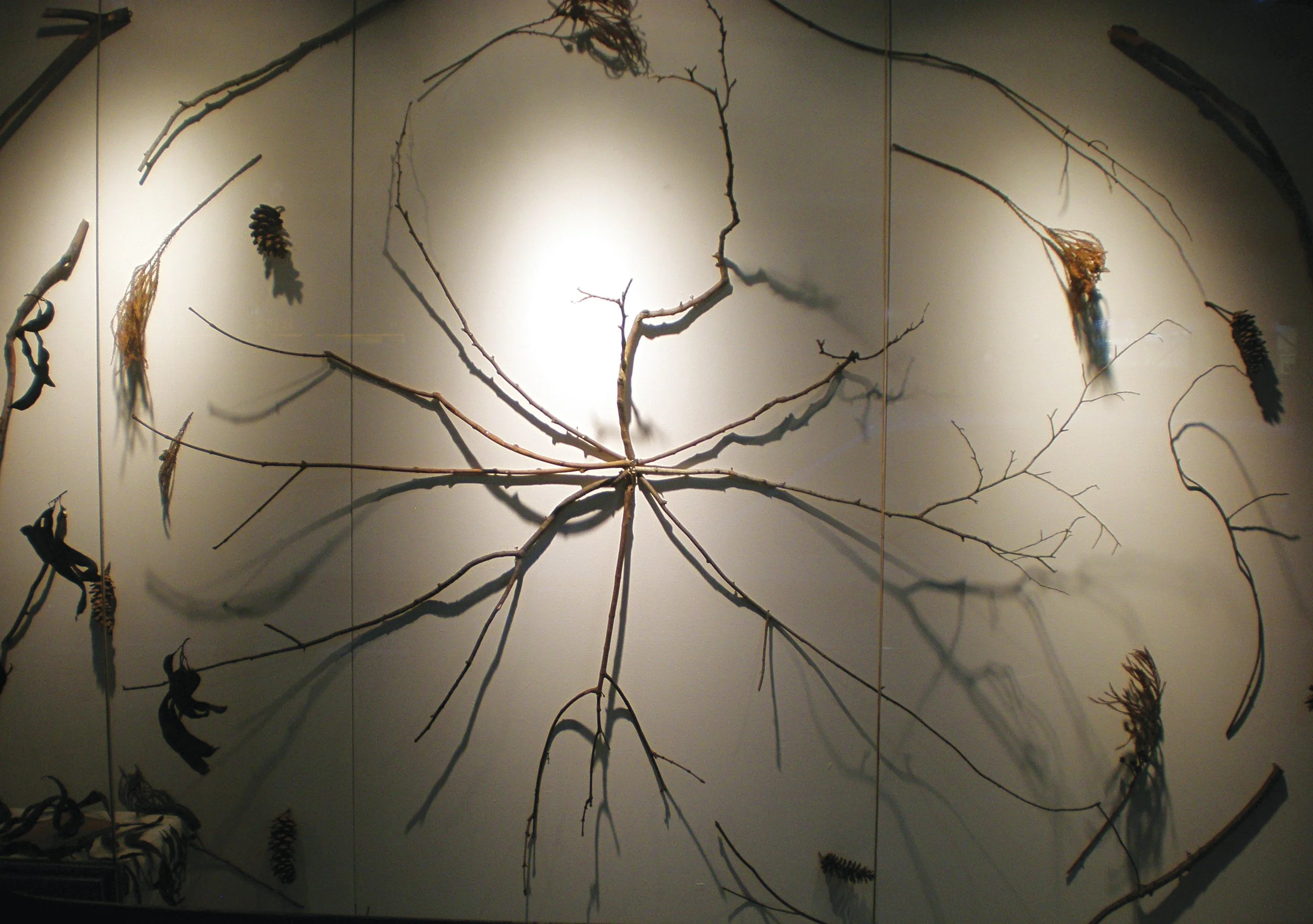 Window Installations