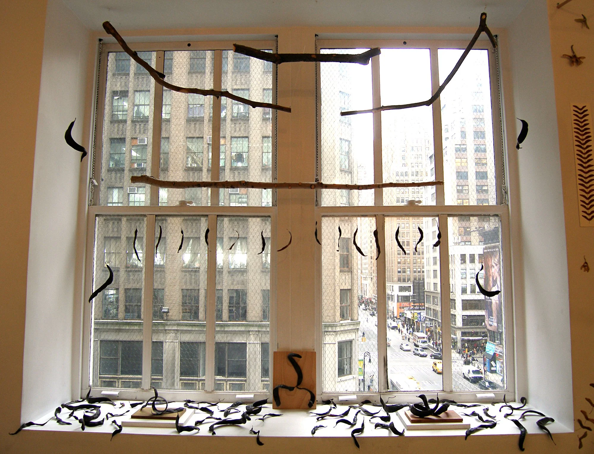 Natural Objects Installation View 7