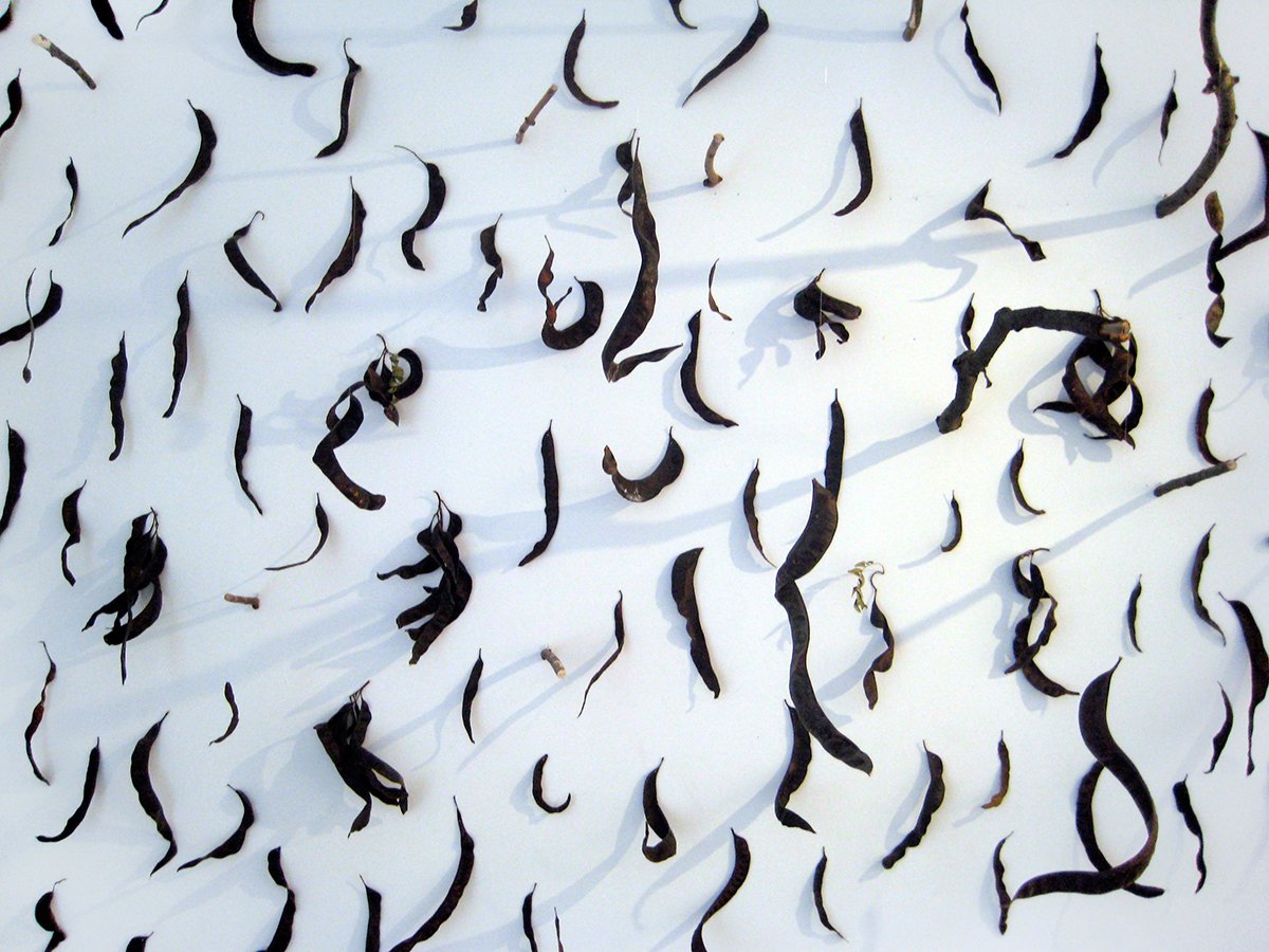 Natural Objects Installation View 5