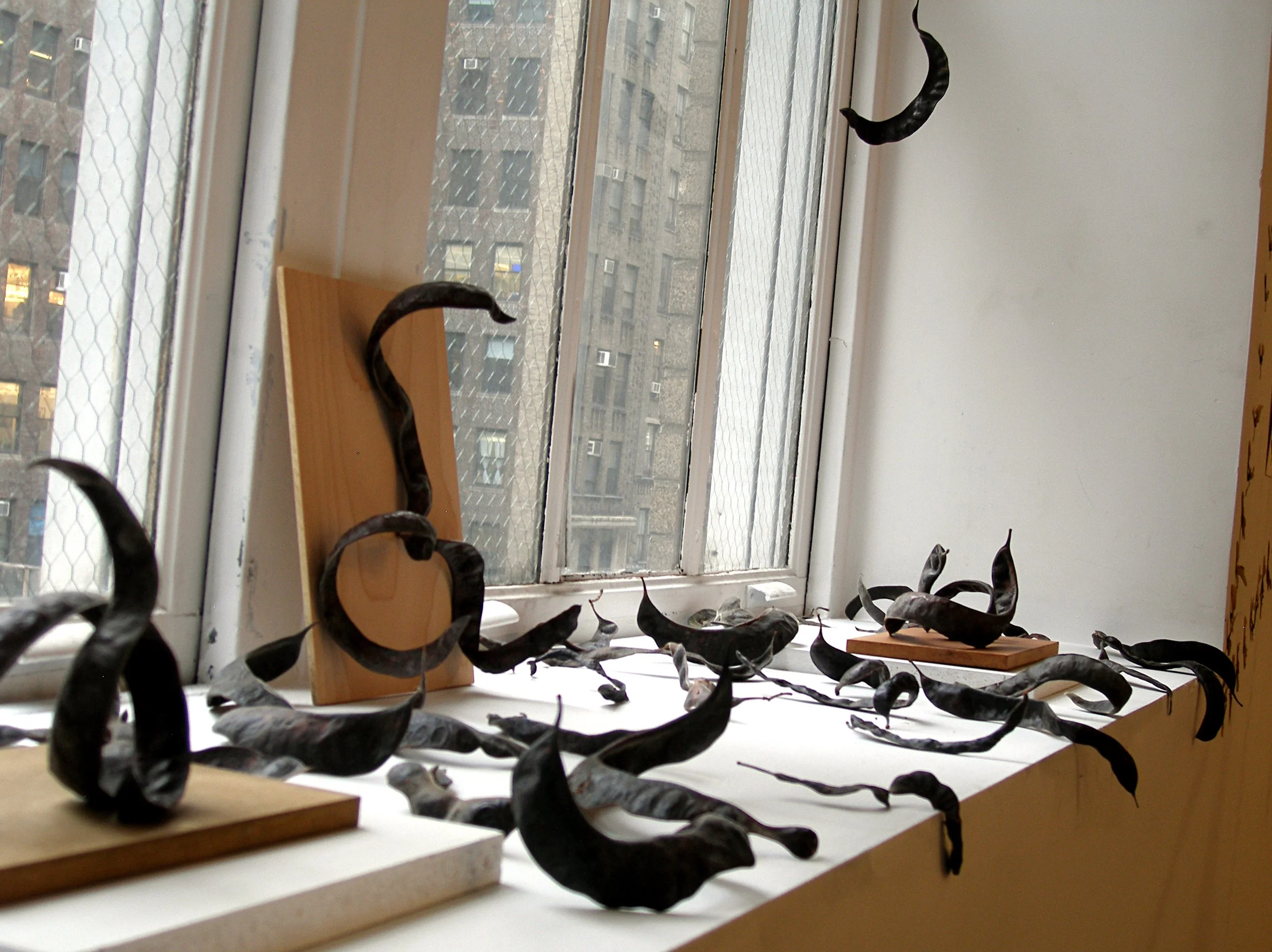 Natural Objects Installation View 7