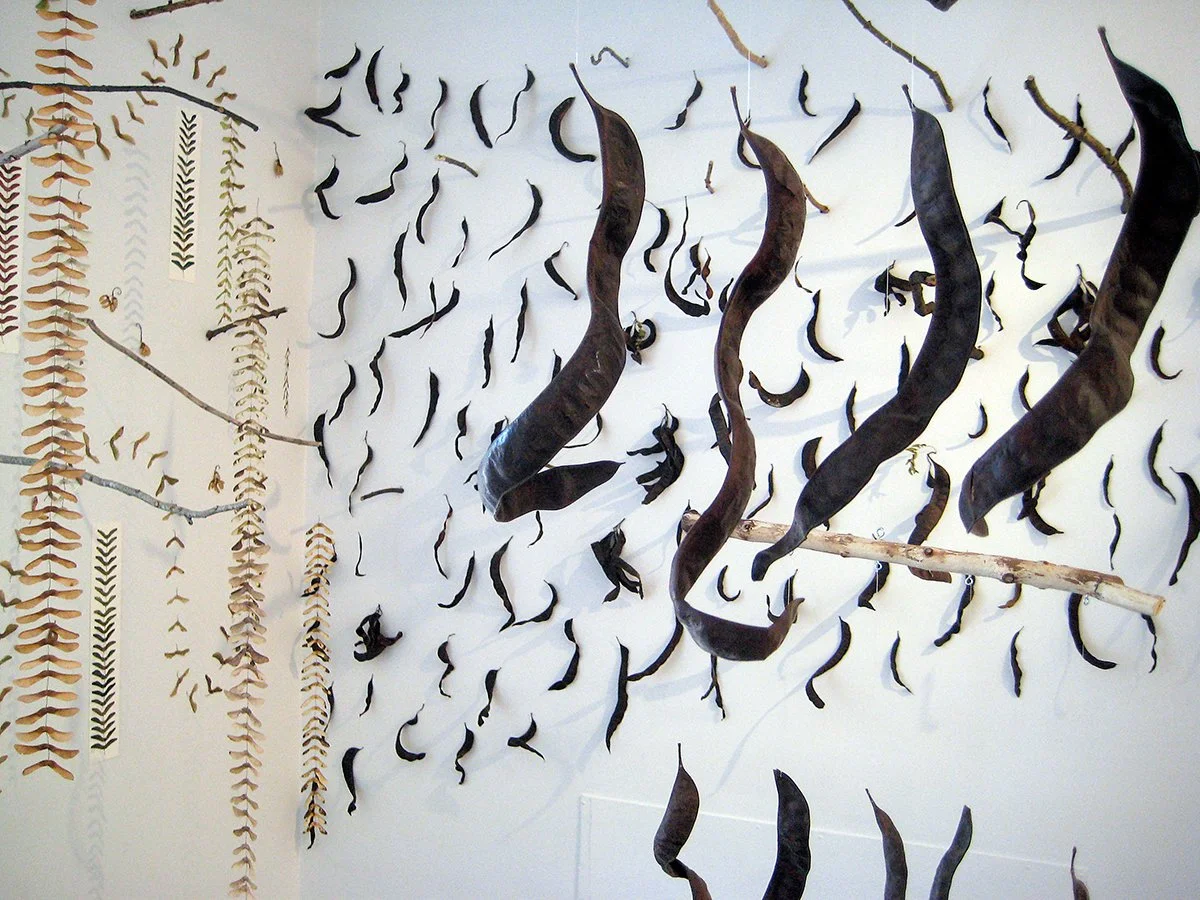 Natural Objects Installation View 3