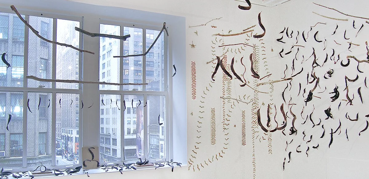 Natural Objects Installation View 1