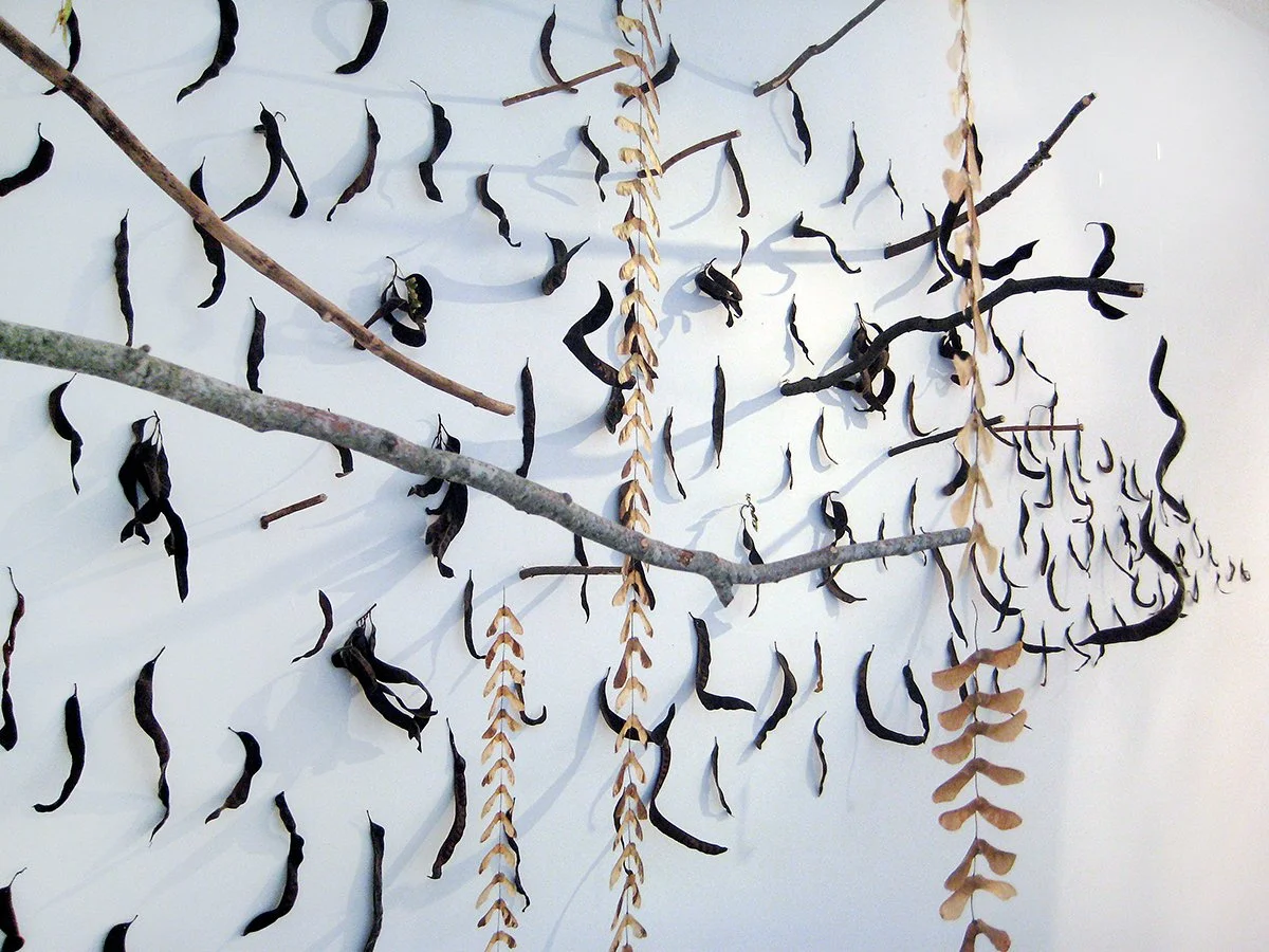 Natural Objects Installation View 2