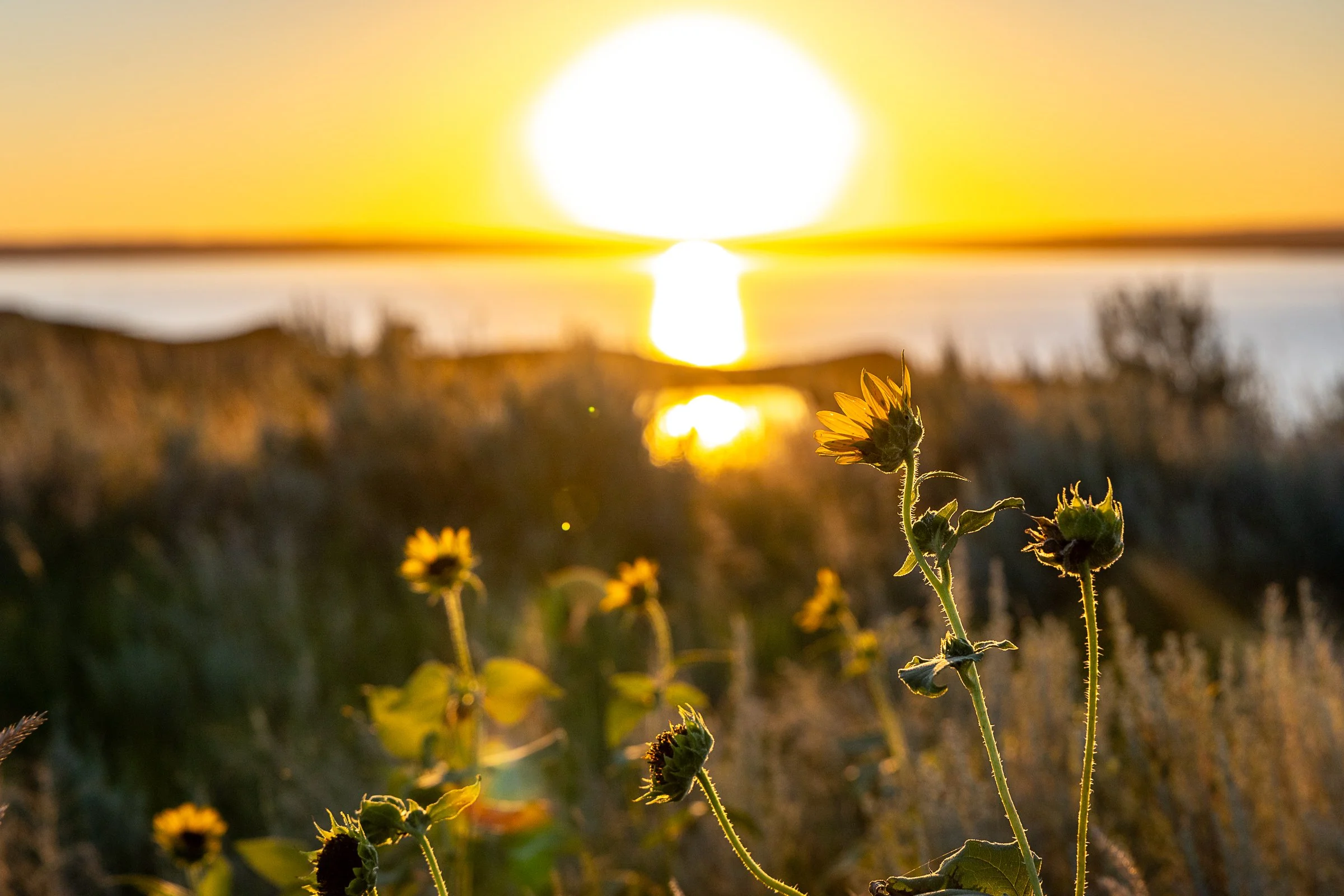 LakeOahe1-14.jpg