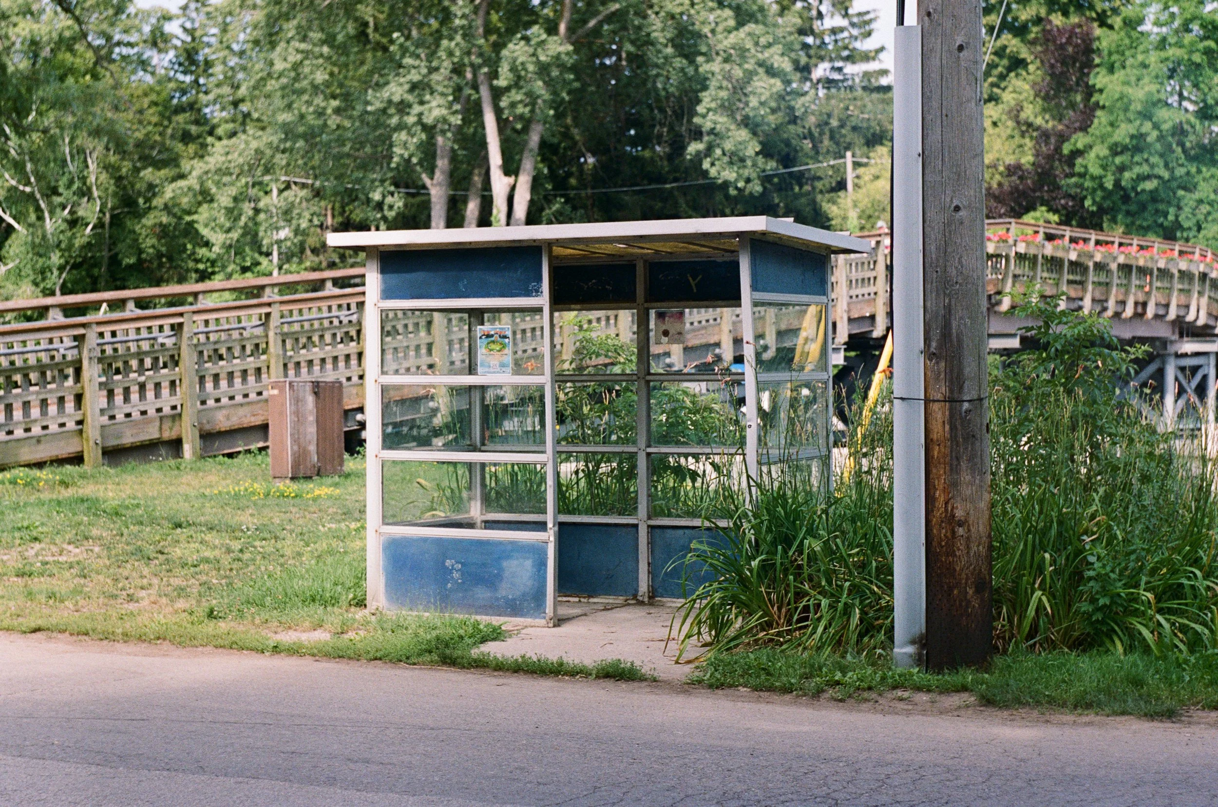 000173800006-19.jpg