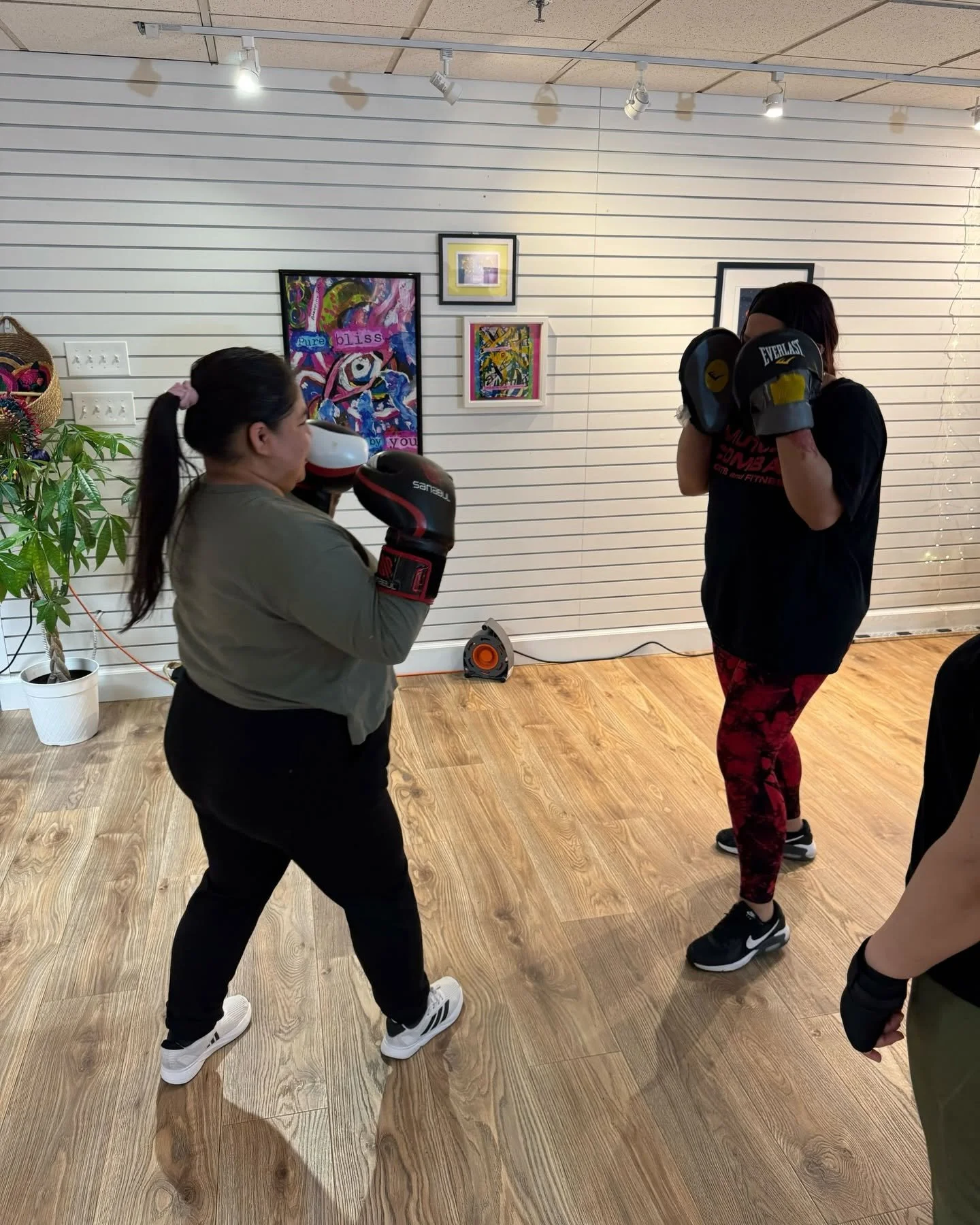 boxeo 2.jpg