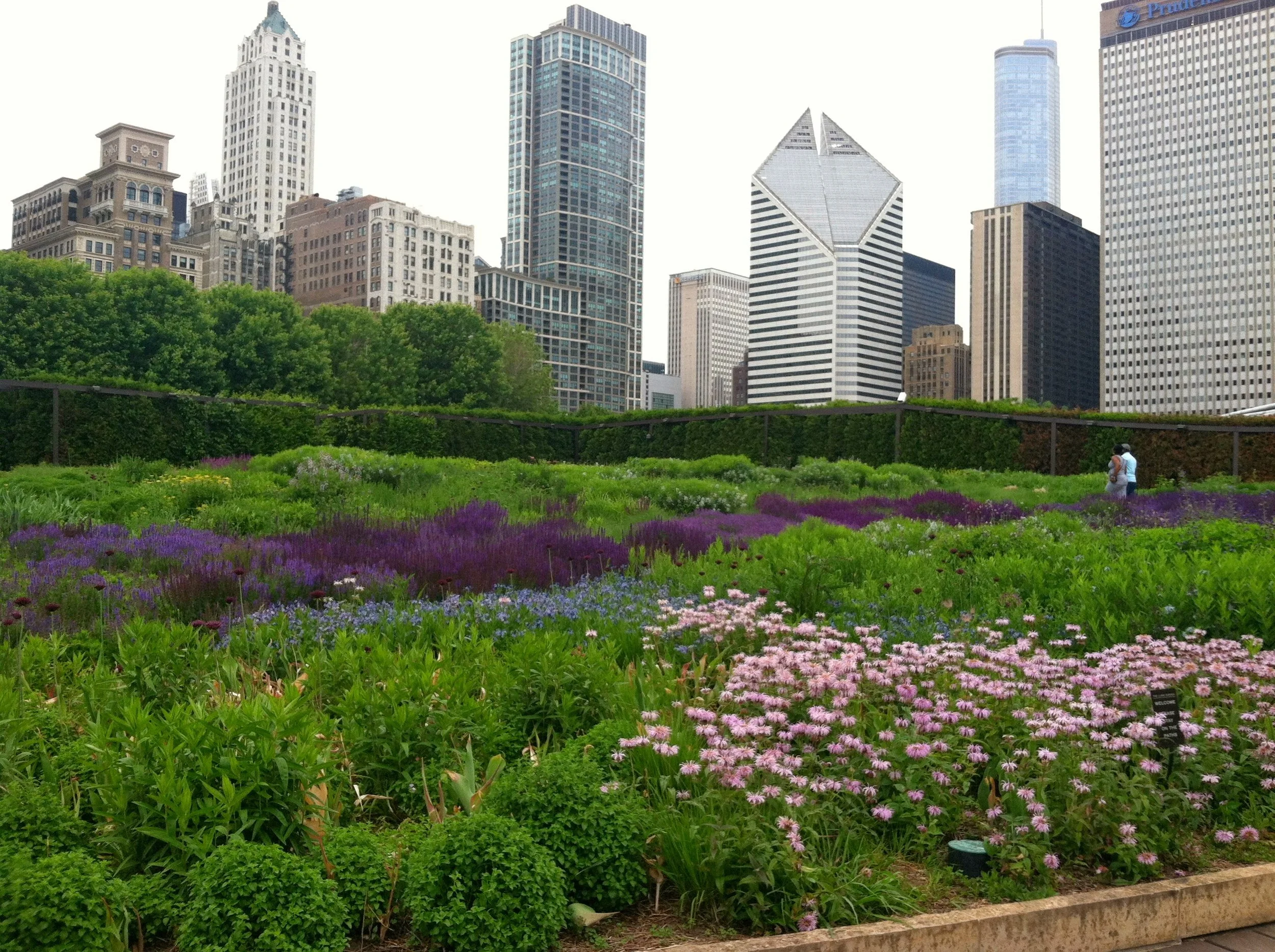 Millenium Park Lurie Garden