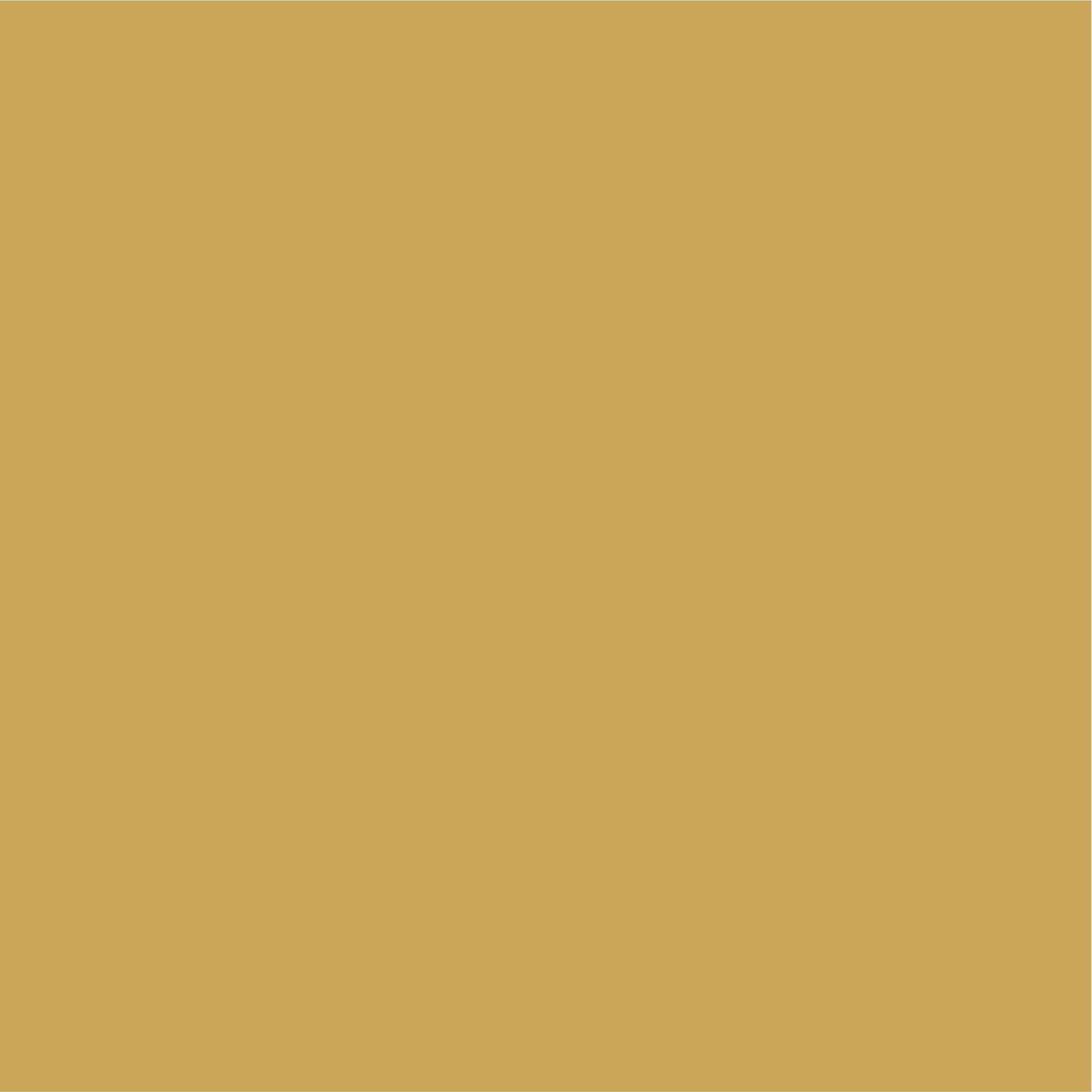 GEO_Colors-95.png