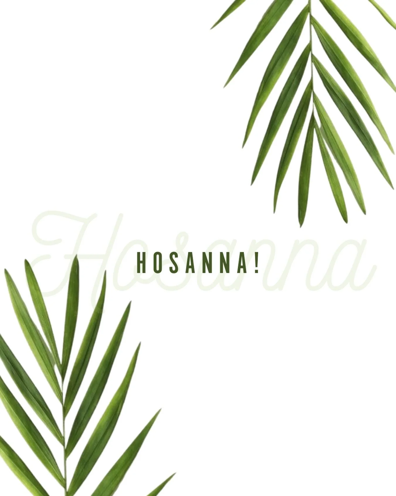 Holy Week is here. 🌿

This is the week we slow down&hellip;
the week we remember&hellip;
the week we walk with Jesus&mdash;from celebration to the cross, and toward resurrection.

You&rsquo;re invited to step into the story with us.

Join us tomorro