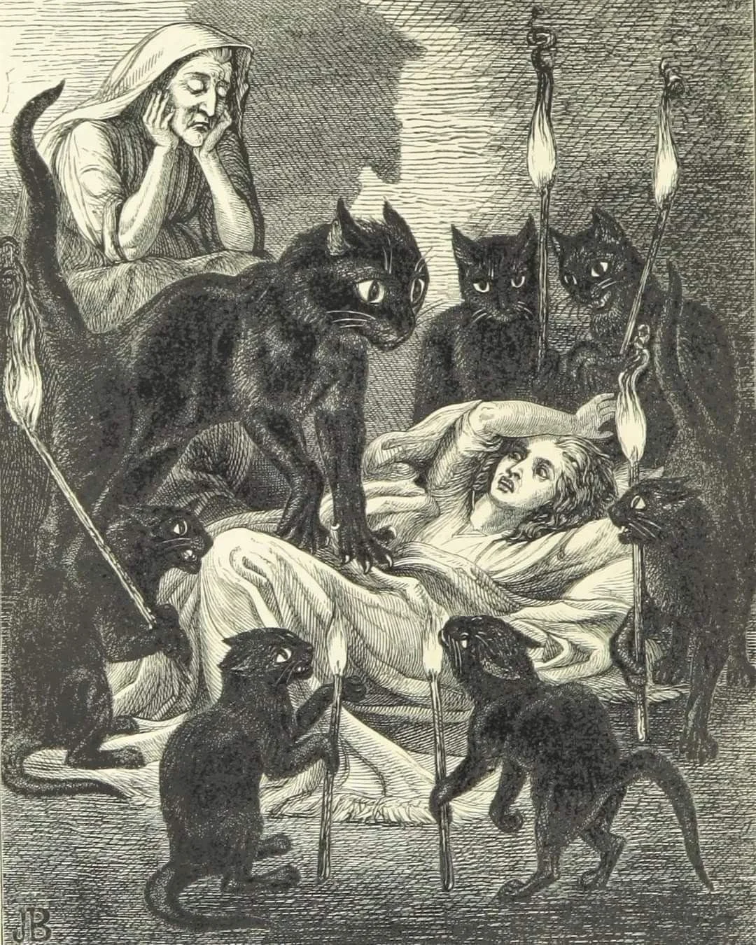 Gatos negros y el tarot