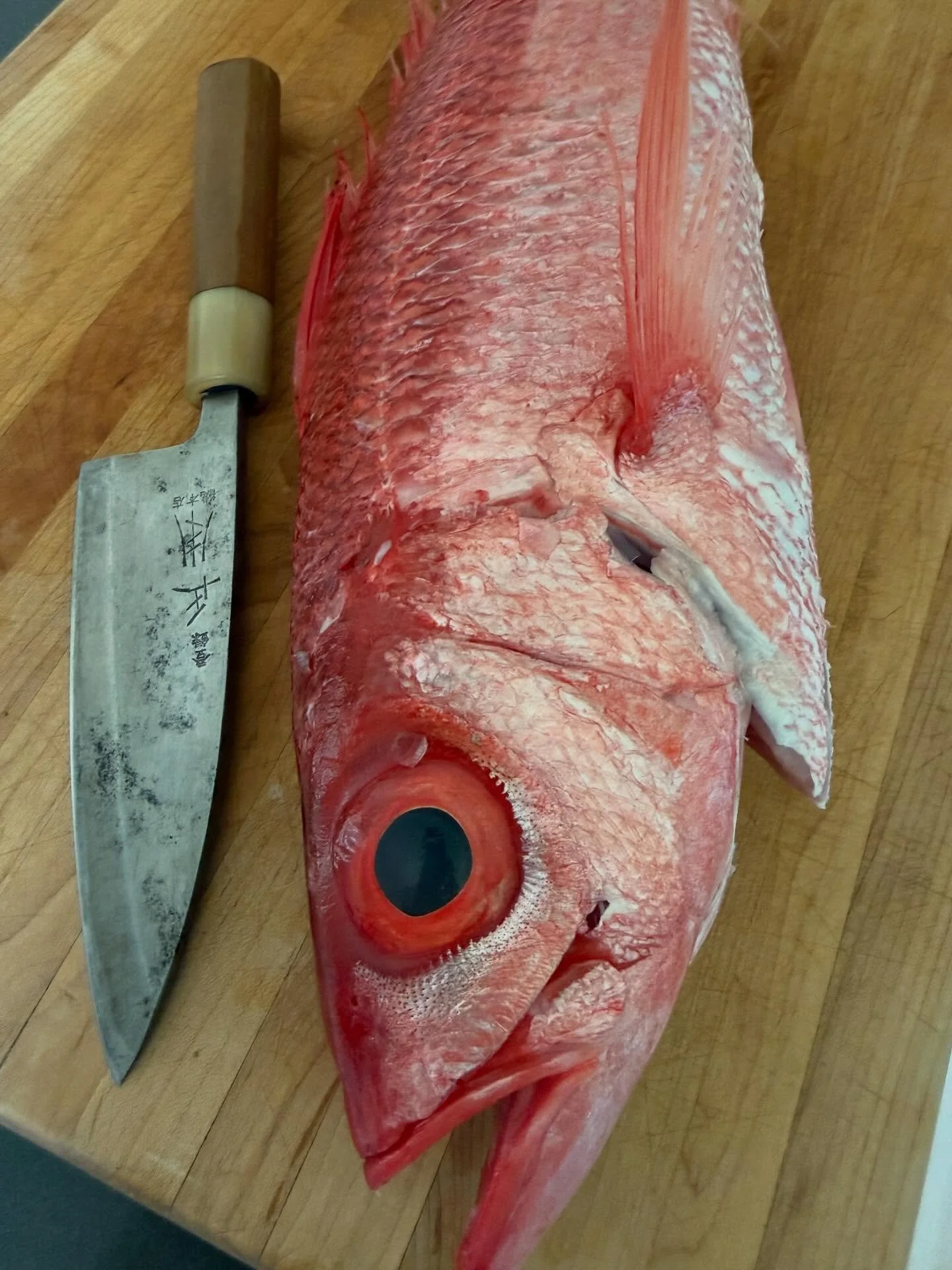 One of my favorite fish found here in the Hawaiian Islands.
&ldquo;Onaga&rdquo; Long Tailed Red Snapper
#freshcatch  #chefschoice #hawaii