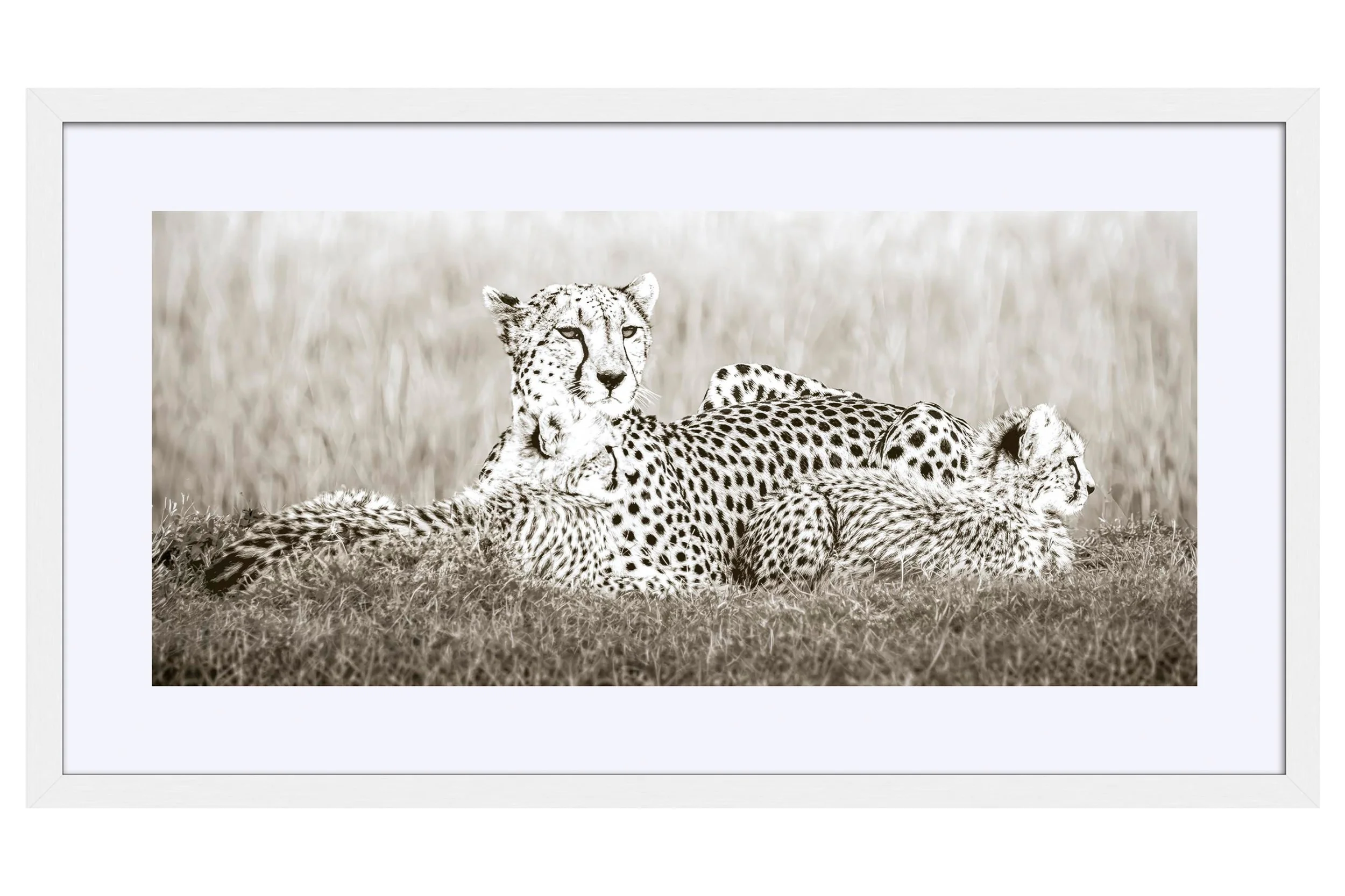 Family White Frame Mat.jpg