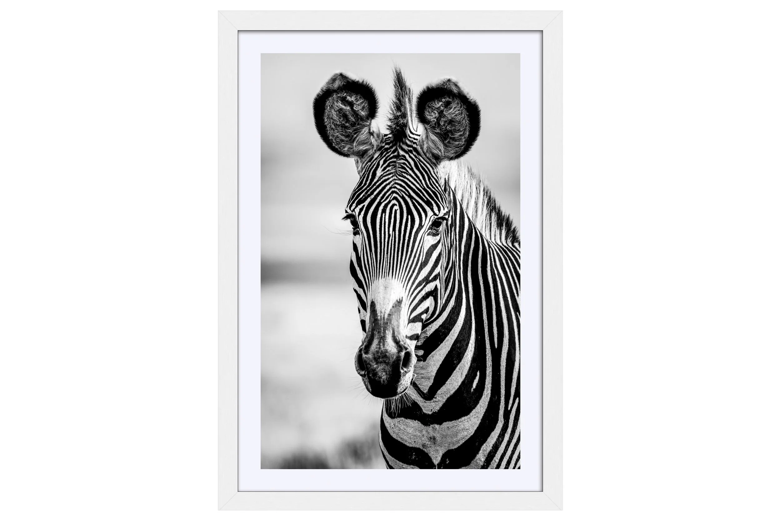 Stripes White Frame Mat.jpg