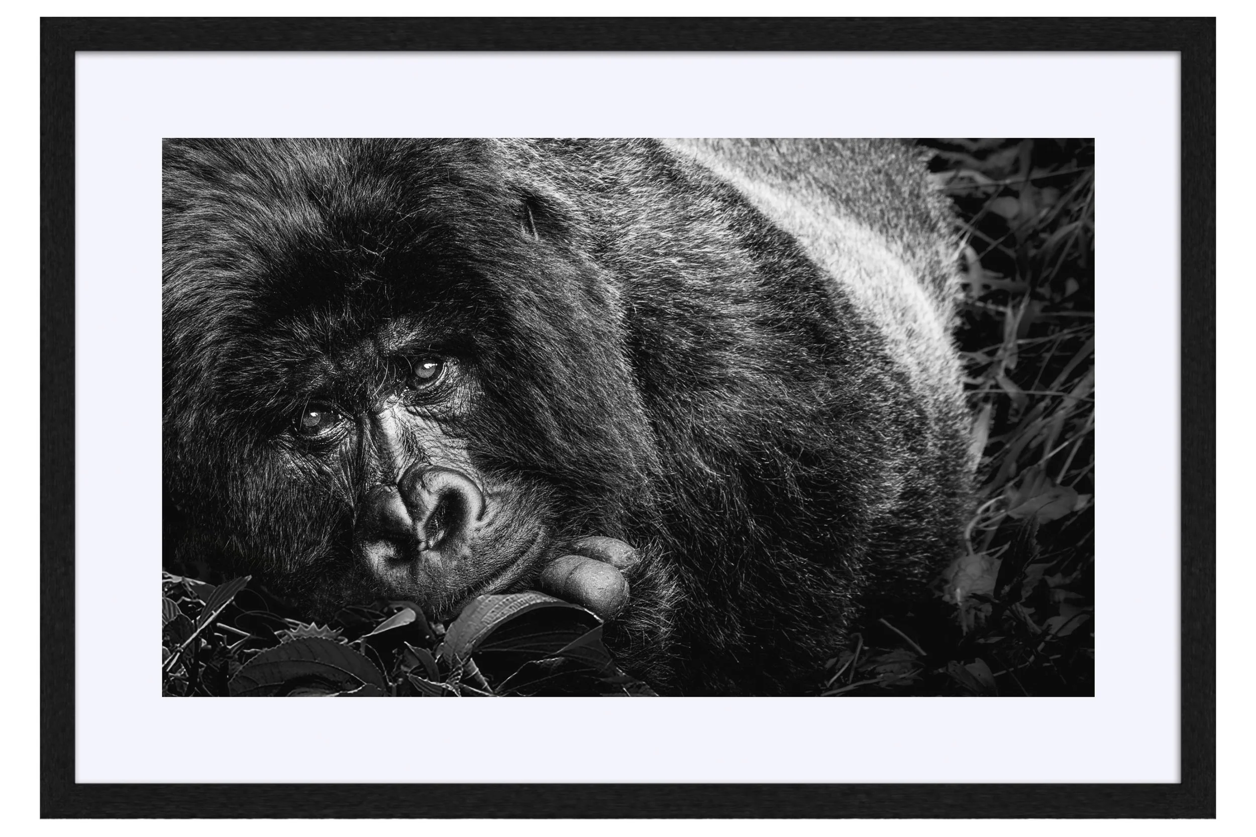 Stare Black Frame Mat.jpg