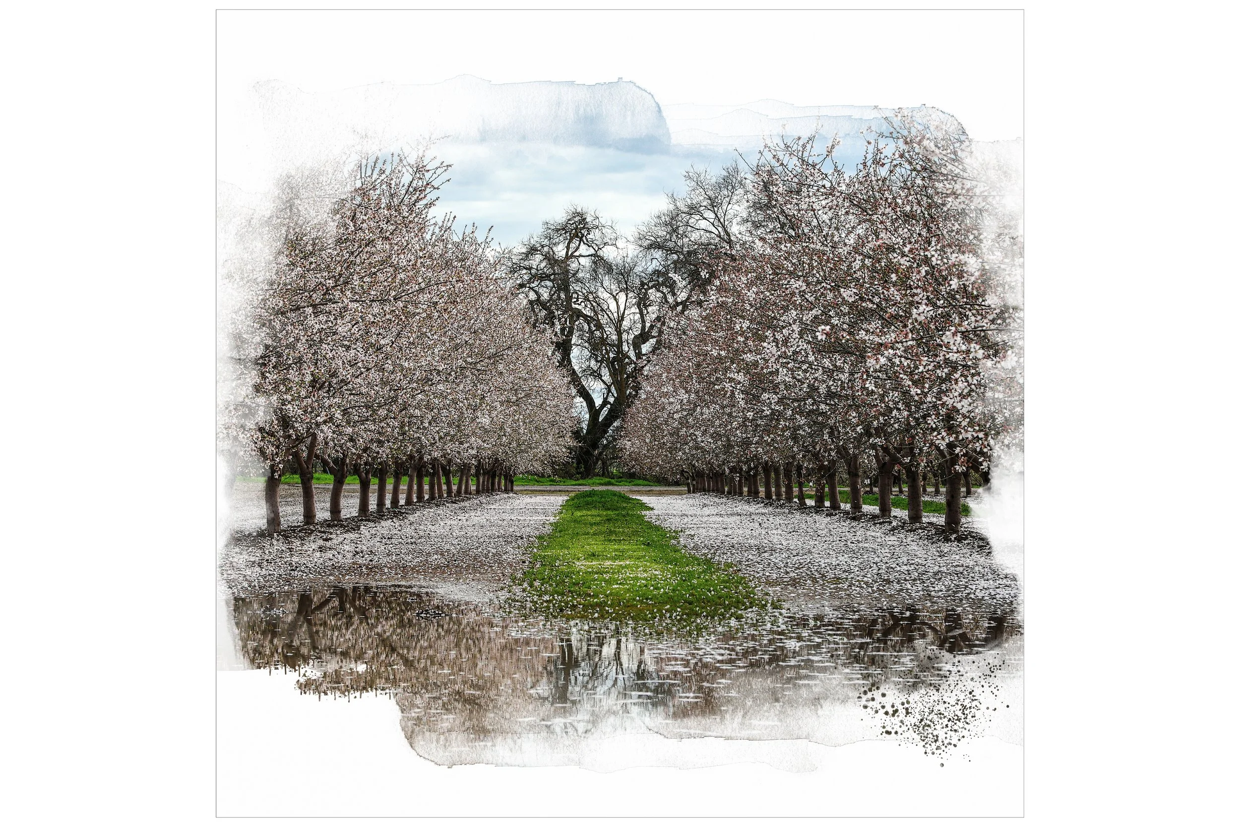 Spring Arrives for Shop.jpg