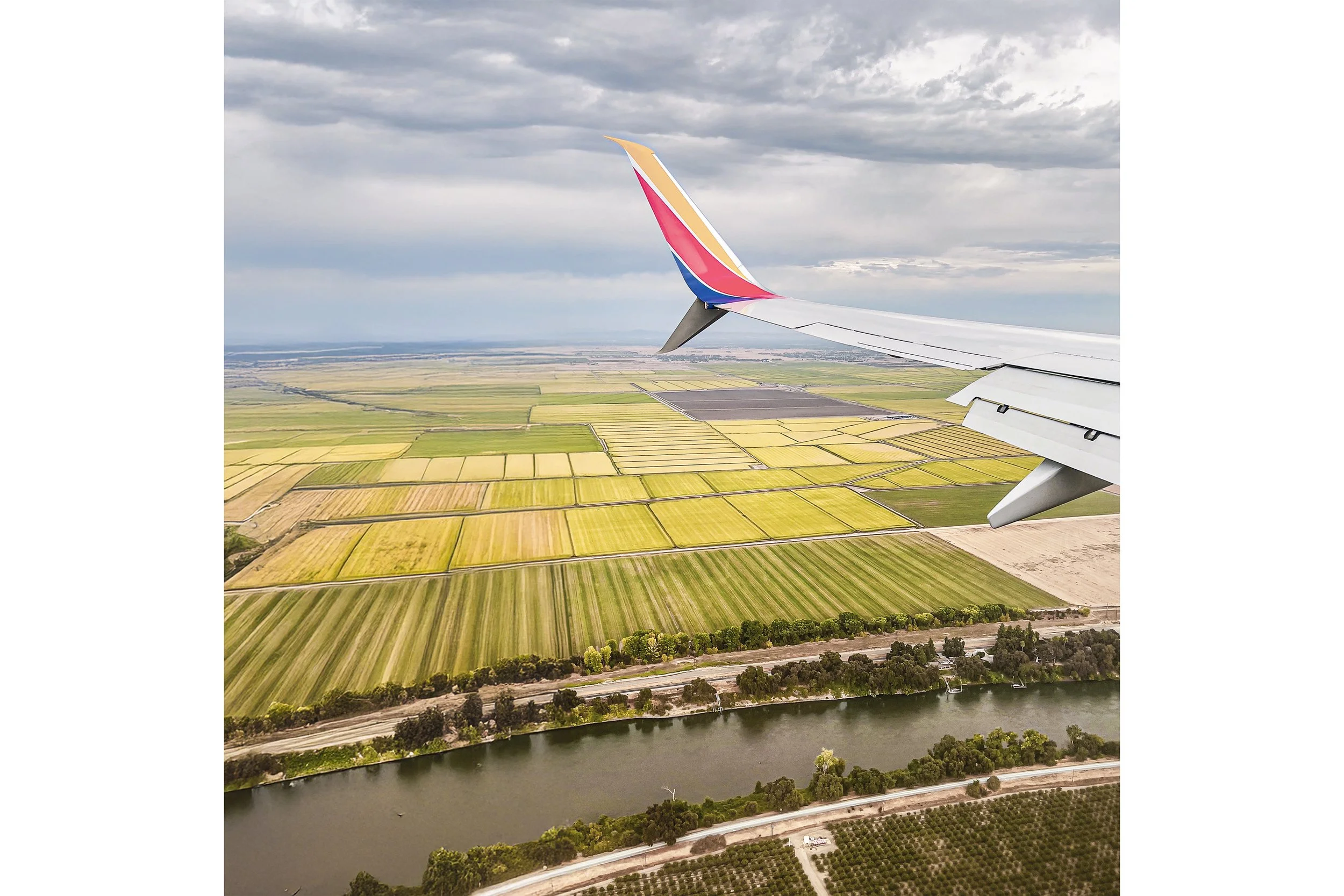 Flying Homefor Shop.jpg