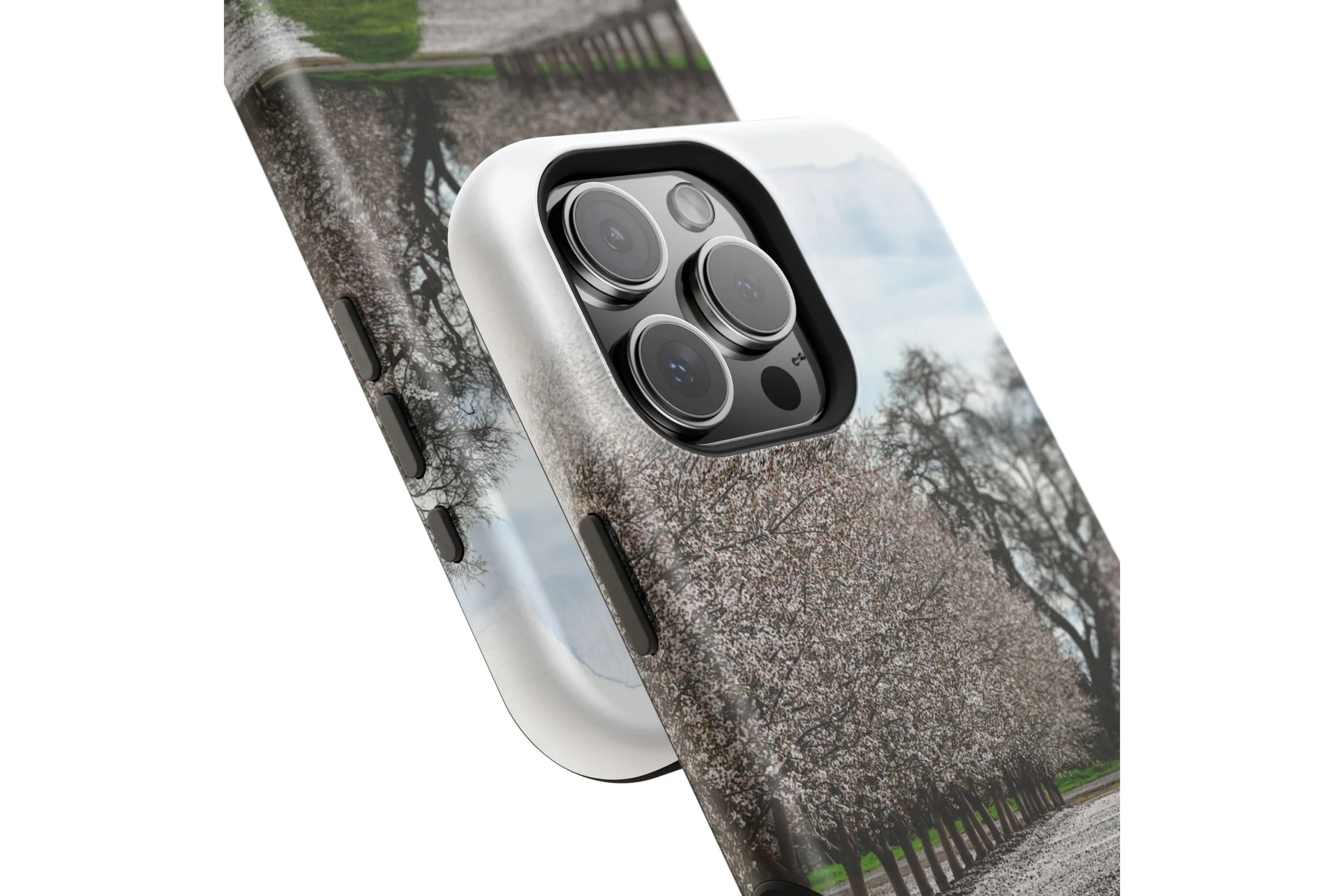 Spring Arrives Close-Up.jpg