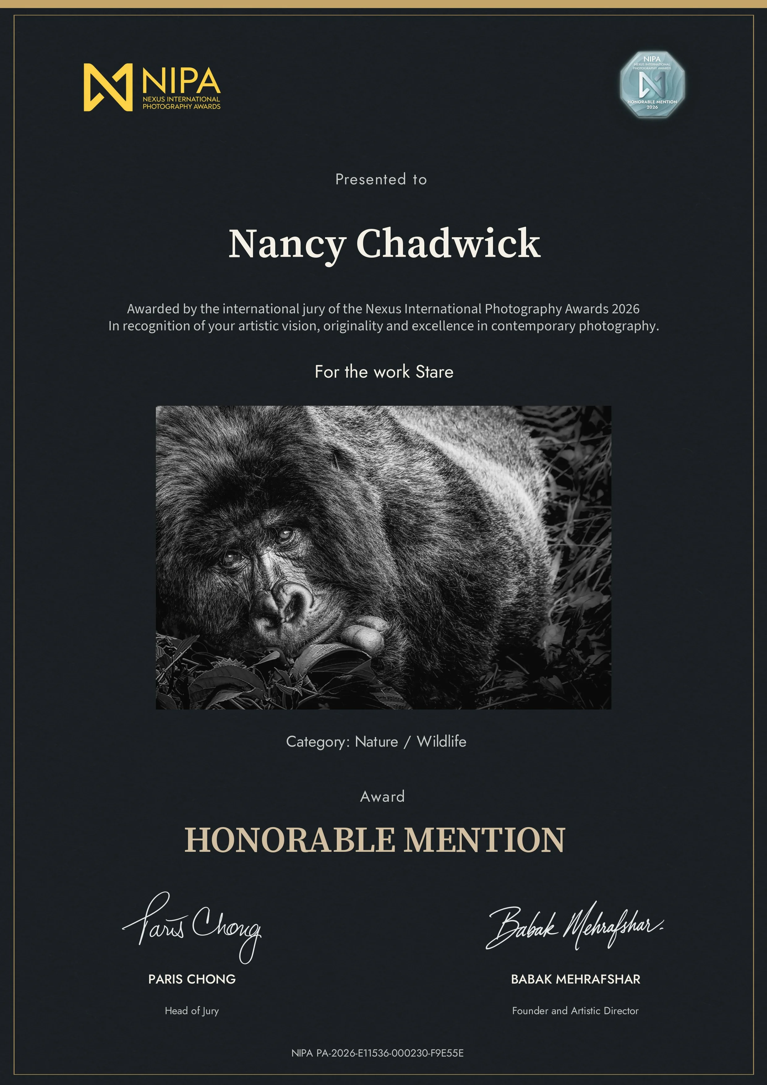 Nancy-Chadwick-HONORABLE-MENTION-NIPA-2026-PA-2026-E11536-000230-F9E55E.jpg