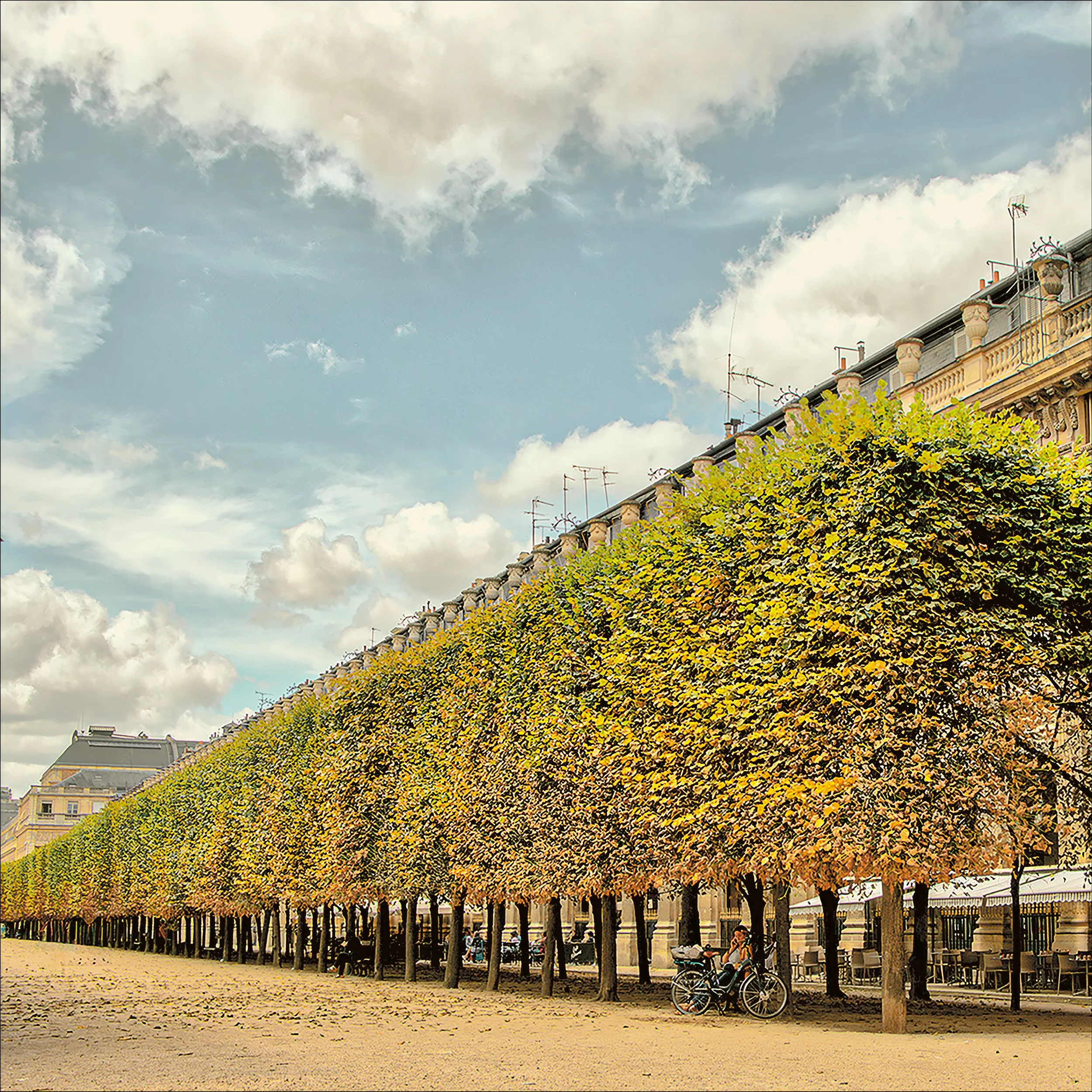 Tree-lined pathway with a building in the background and blue sky overhead.