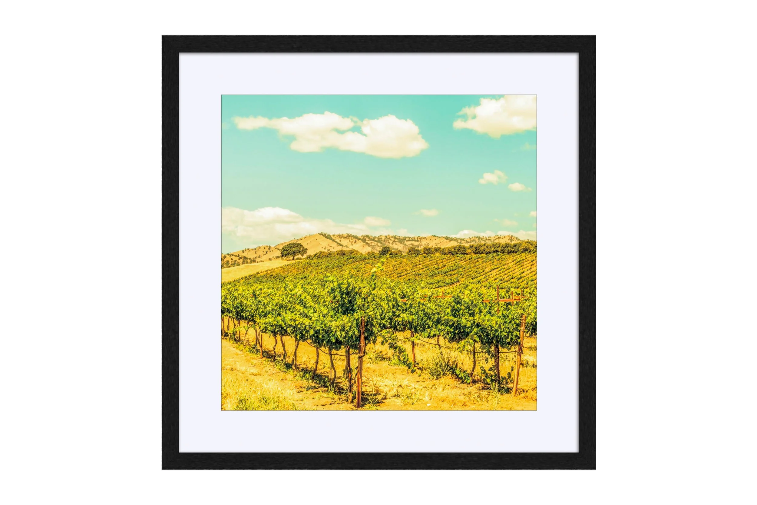 Vineyard Black Borders.jpg