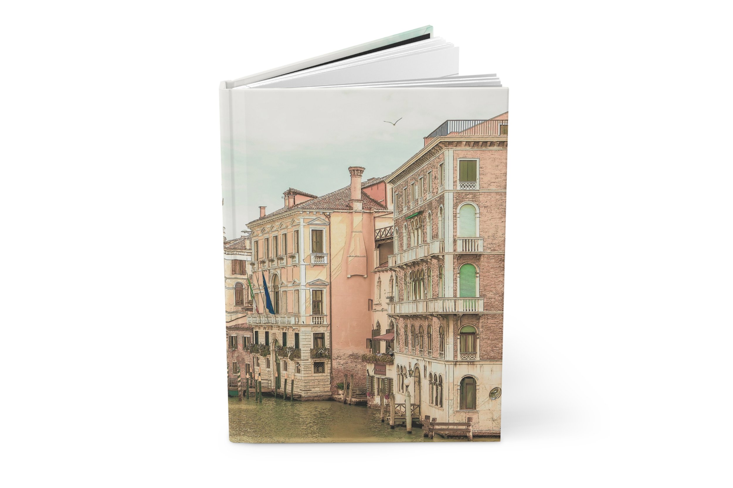 Venice Opened.jpg