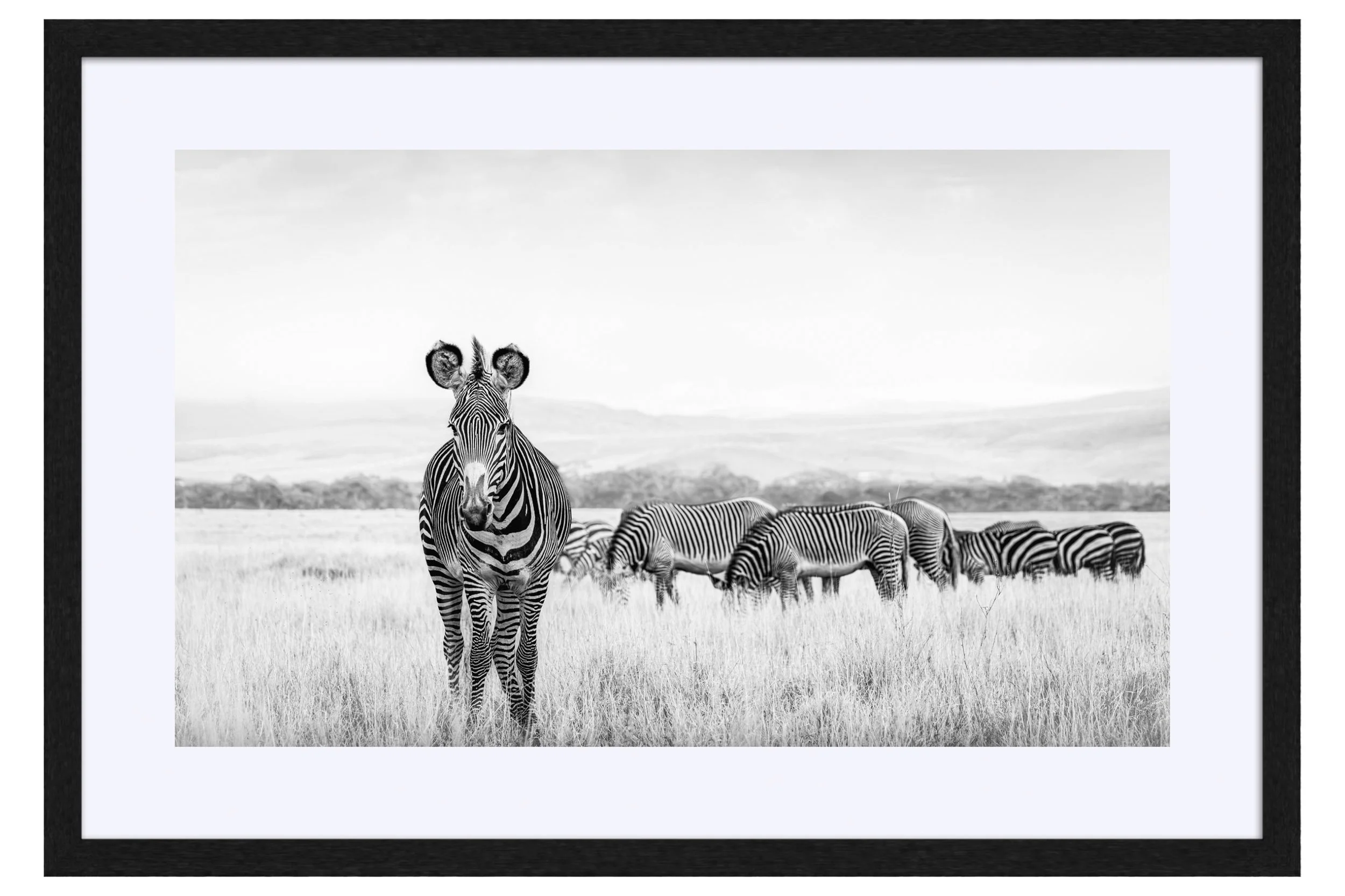 Dazzle Black Frame Mat.jpg