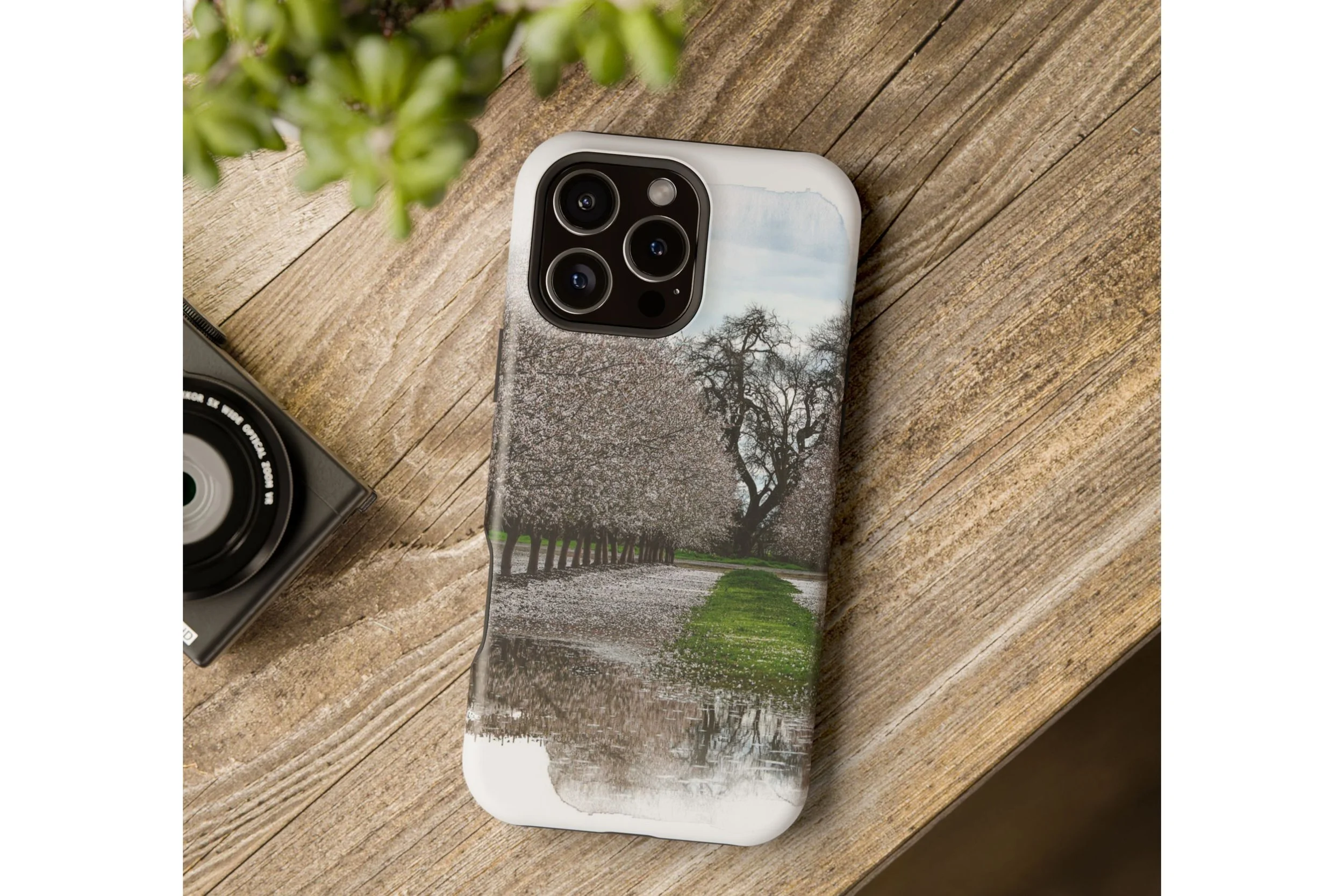 Spring Arrives Context.jpg