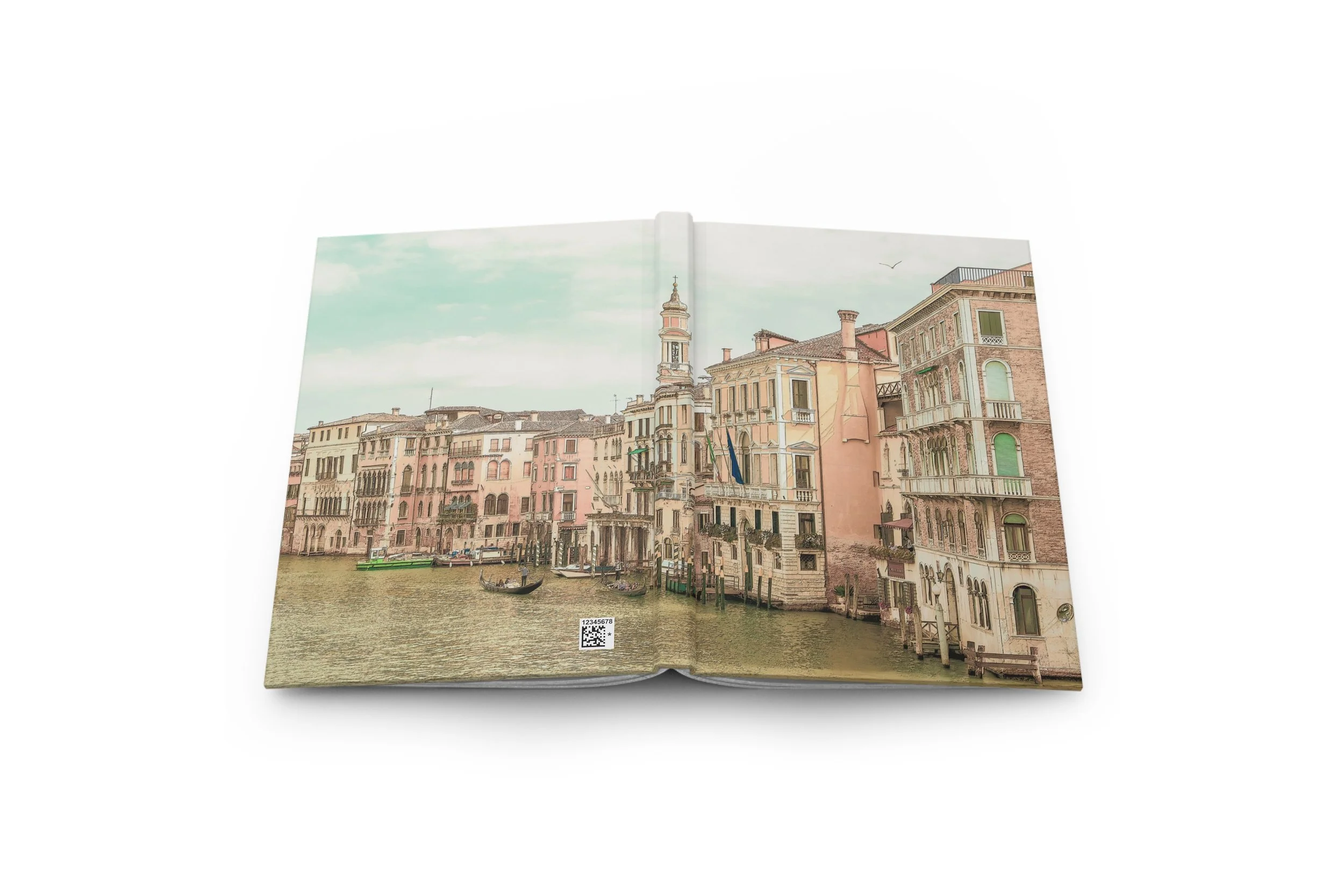 Venice Flat.jpg