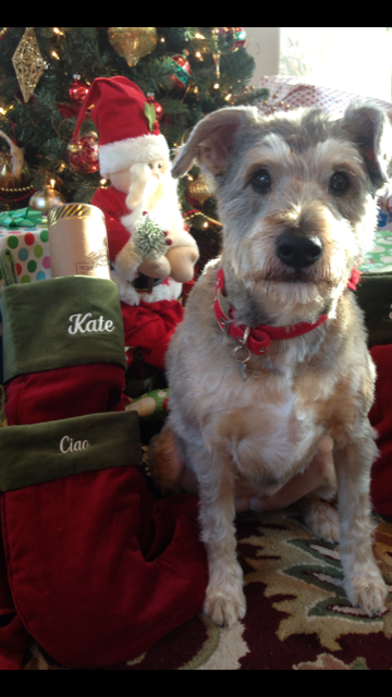 Santa has the best stocking stuffers